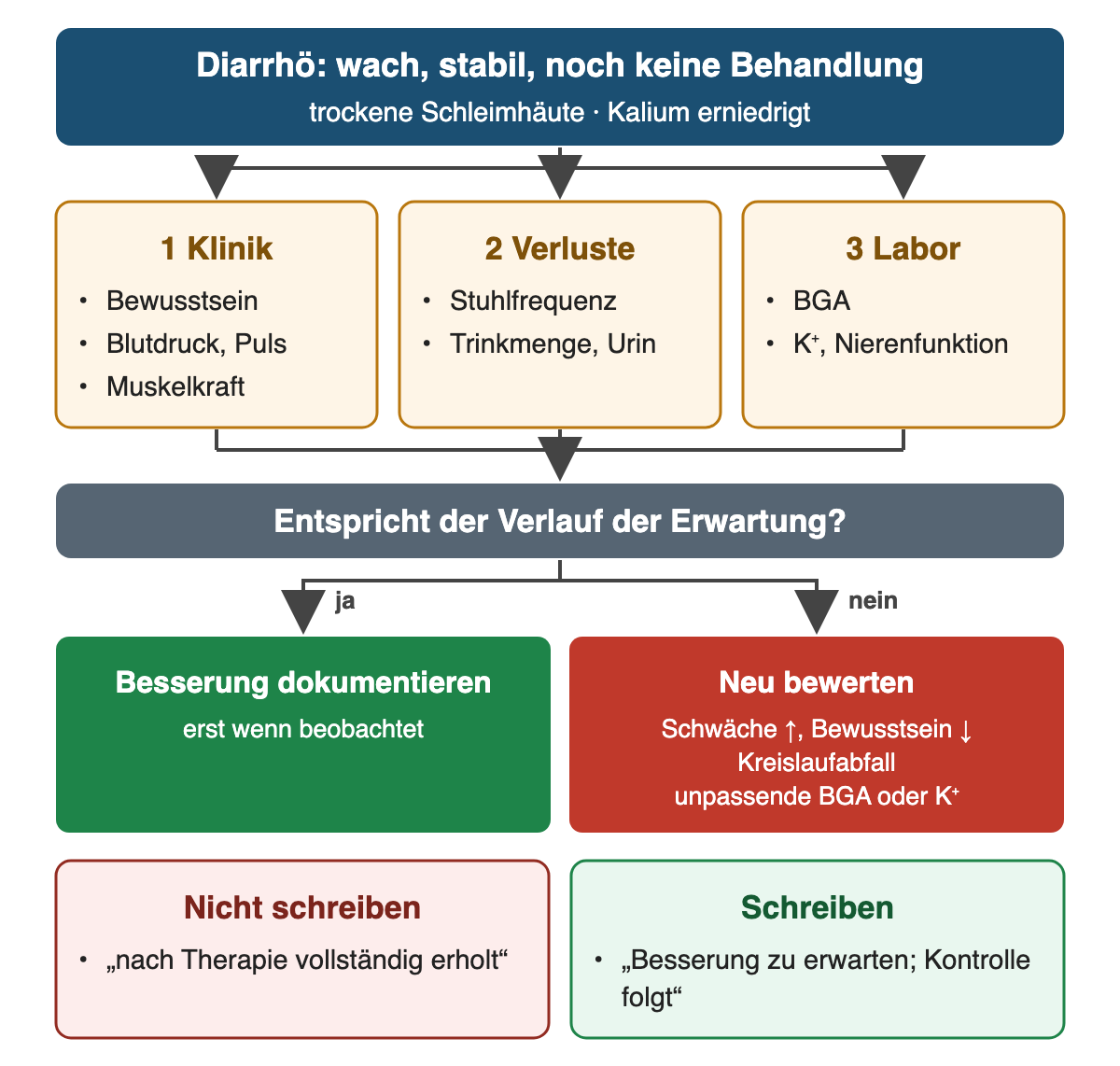 Oben: Diarrhö, wach und stabil, noch keine Behandlung, trockene Schleimhäute, Kalium erniedrigt. Drei Kontrollbereiche nebeneinander: 1 Klinik (Bewusstsein, Blutdruck und Puls, Muskelkraft), 2 Verluste (Stuhlfrequenz, Trinkmenge und Urin), 3 Labor (BGA, K⁺, Nierenfunktion). Frage: Entspricht der Verlauf der Erwartung? Ja – Besserung erst dann dokumentieren; nein – neu bewerten bei zunehmender Schwäche, Bewusstseinsminderung, Kreislaufabfall oder unpassender BGA beziehungsweise K⁺. Unten: Nicht schreiben „nach Therapie vollständig erholt“; schreiben „Besserung zu erwarten; Kontrolle folgt“.