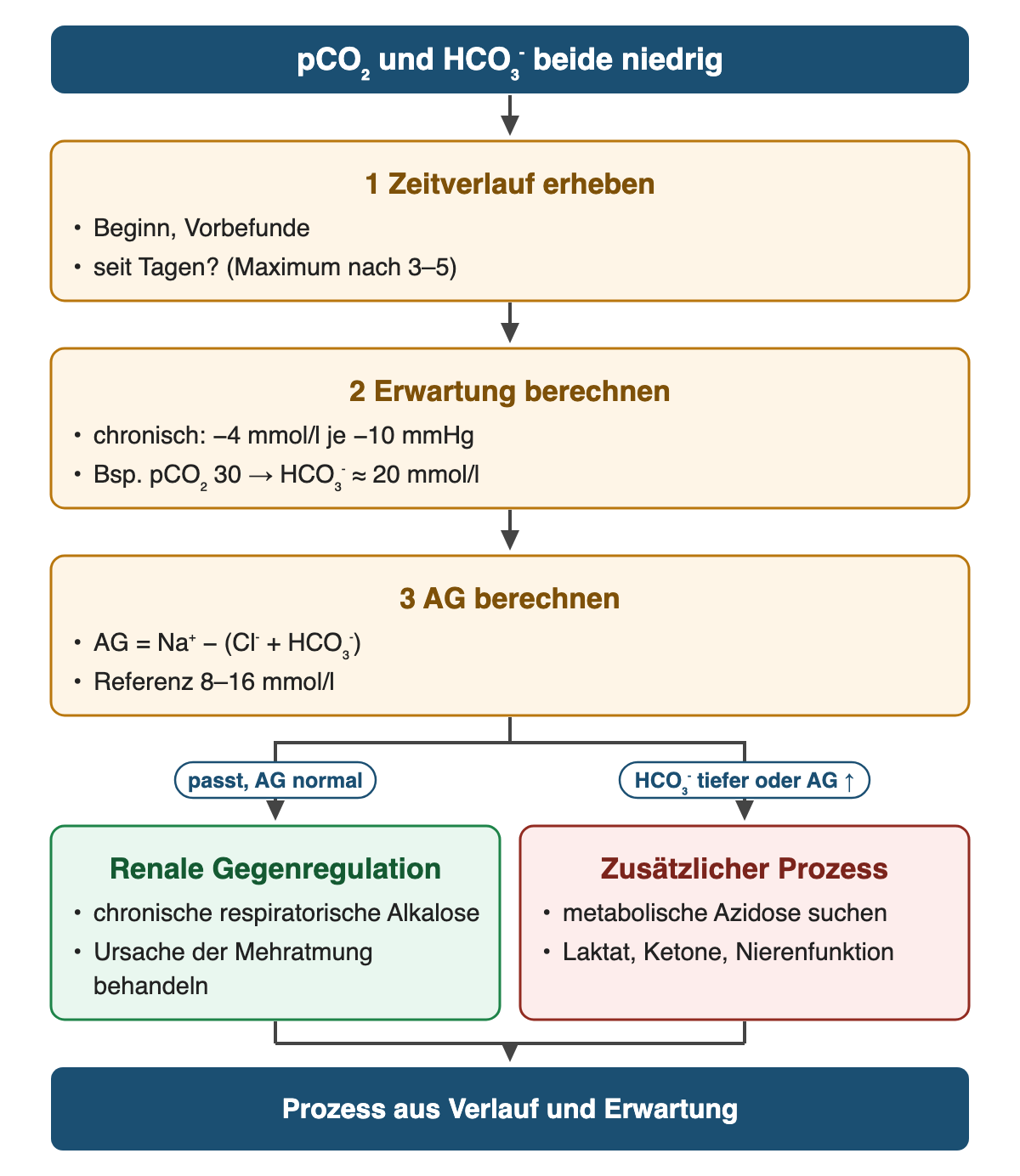 Von oben nach unten: pCO₂ und HCO₃⁻ beide niedrig. 1 Zeitverlauf erheben: Beginn, Vorbefunde; seit Tagen? (Maximum nach 3–5). 2 Erwartung berechnen: chronisch: −4 mmol/l je −10 mmHg; Bsp. pCO₂ 30 → HCO₃⁻ ≈ 20 mmol/l. 3 AG berechnen: AG = Na⁺ − (Cl⁻ + HCO₃⁻); Referenz 8–16 mmol/l. Wenn passt, AG normal: Renale Gegenregulation: chronische respiratorische Alkalose; Ursache der Mehratmung behandeln. Wenn HCO₃⁻ tiefer oder AG ↑: Zusätzlicher Prozess: metabolische Azidose suchen; Laktat, Ketone, Nierenfunktion. Ergebnis: Prozess aus Verlauf und Erwartung.