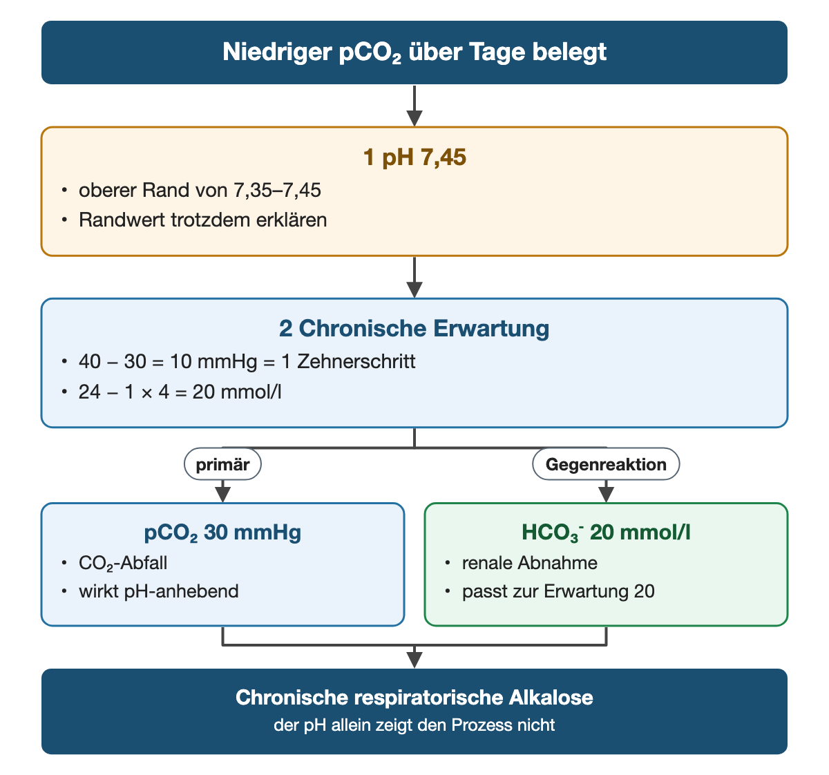 Von oben nach unten. Oben: Niedriger pCO₂ über Tage belegt. 1 pH 7,45: oberer Rand von 7,35–7,45, Randwert trotzdem erklären. 2 Chronische Erwartung: 40 − 30 = 10 mmHg = 1 Zehnerschritt, 24 − 1 × 4 = 20 mmol/l. Nebeneinander: primär → pCO₂ 30 mmHg: CO₂-Abfall, wirkt pH-anhebend | Gegenreaktion → HCO₃⁻ 20 mmol/l: renale Abnahme, passt zur Erwartung 20. Ergebnis: Chronische respiratorische Alkalose (der pH allein zeigt den Prozess nicht).