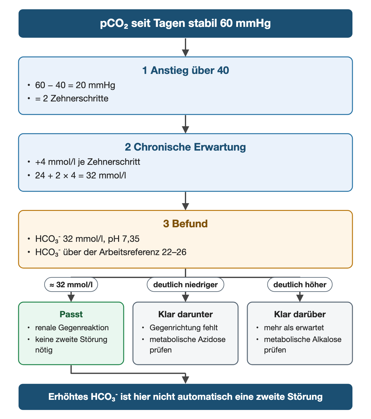 Von oben nach unten. Oben: pCO₂ seit Tagen stabil 60 mmHg. 1 Anstieg über 40: 60 − 40 = 20 mmHg, = 2 Zehnerschritte. 2 Chronische Erwartung: +4 mmol/l je Zehnerschritt, 24 + 2 × 4 = 32 mmol/l. 3 Befund: HCO₃⁻ 32 mmol/l, pH 7,35, HCO₃⁻ über der Arbeitsreferenz 22–26. Nebeneinander: ≈ 32 mmol/l → Passt: renale Gegenreaktion, keine zweite Störung nötig | deutlich niedriger → Klar darunter: Gegenrichtung fehlt, metabolische Azidose prüfen | deutlich höher → Klar darüber: mehr als erwartet, metabolische Alkalose prüfen. Ergebnis: Erhöhtes HCO₃⁻ ist hier nicht automatisch eine zweite Störung.