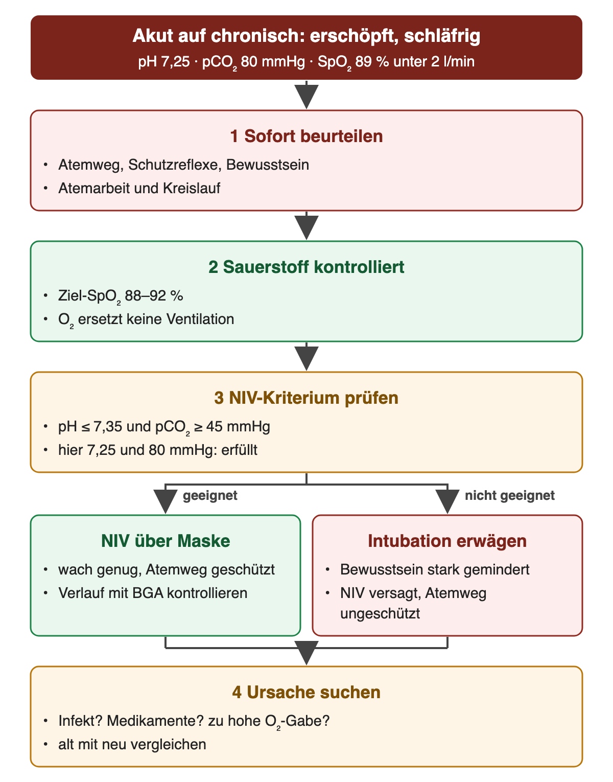 Oben: akut auf chronisch, erschöpft und schläfrig, pH 7,25, pCO₂ 80 mmHg, SpO₂ 89 % unter 2 l/min. 1 Sofort beurteilen: Atemweg, Schutzreflexe, Bewusstsein, Atemarbeit und Kreislauf. 2 Sauerstoff kontrolliert: Ziel-SpO₂ 88–92 %, Sauerstoff ersetzt keine Ventilation. 3 NIV-Kriterium prüfen: pH ≤ 7,35 und pCO₂ ≥ 45 mmHg, hier erfüllt. Zwei Zweige: geeignet – NIV über Maske, Verlauf mit BGA kontrollieren; nicht geeignet – Intubation erwägen bei stark gemindertem Bewusstsein, NIV-Versagen oder ungeschütztem Atemweg. 4 Ursache suchen: Infekt, Medikamente, zu hohe O₂-Gabe; alt mit neu vergleichen.