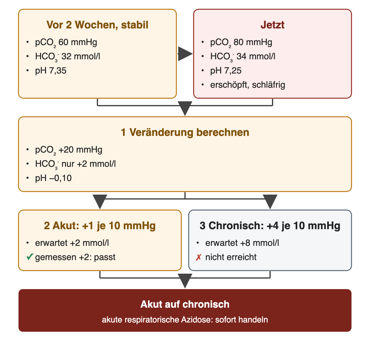 Nebeneinander mit Pfeil: vor 2 Wochen stabil pCO₂ 60 mmHg, HCO₃⁻ 32 mmol/l, pH 7,35; jetzt pCO₂ 80 mmHg, HCO₃⁻ 34 mmol/l, pH 7,25, erschöpft und schläfrig. 1 Veränderung berechnen: pCO₂ +20 mmHg, HCO₃⁻ nur +2 mmol/l, pH −0,10. Zwei Erwartungen: 2 akut +1 je 10 mmHg, erwartet +2 mmol/l, gemessen +2 passt; 3 chronisch +4 je 10 mmHg, erwartet +8 mmol/l, nicht erreicht. Ergebnis: akut auf chronisch – akute respiratorische Azidose, sofort handeln.