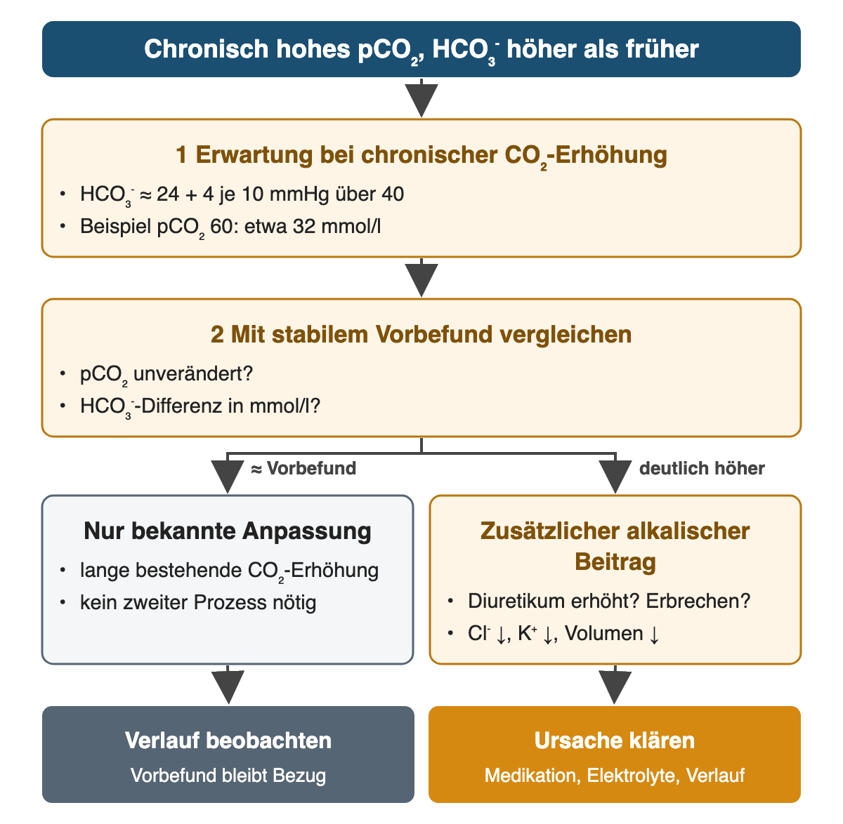 Oben: chronisch hohes pCO₂, HCO₃⁻ höher als früher. 1 Erwartung bei chronischer CO₂-Erhöhung: HCO₃⁻ ≈ 24 + 4 je 10 mmHg über 40; bei pCO₂ 60 etwa 32 mmol/l. 2 Mit stabilem Vorbefund vergleichen: pCO₂ unverändert? HCO₃⁻-Differenz? Zwei Zweige: etwa wie Vorbefund – nur bekannte Anpassung; deutlich höher – zusätzlicher alkalischer Beitrag (Diuretikum erhöht, Erbrechen; Cl⁻, K⁺ und Volumen vermindert). Ergebnis: Verlauf beobachten beziehungsweise Ursache klären mit Medikation, Elektrolyten und Verlauf.