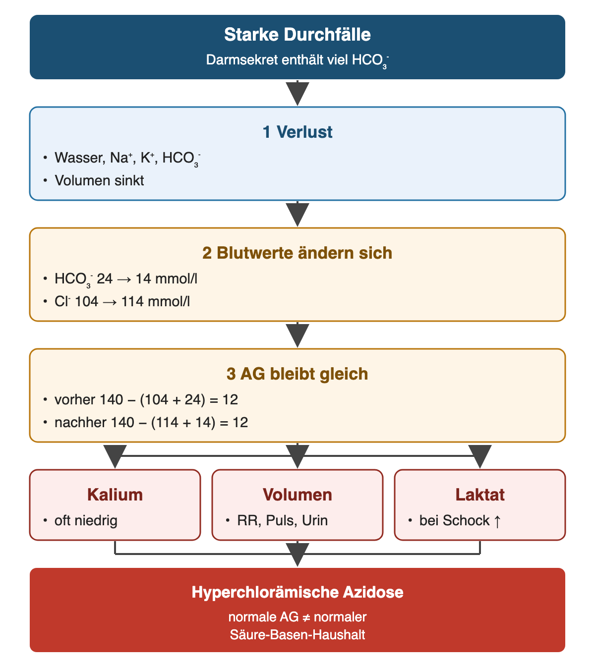 Von oben nach unten: Starke Durchfälle: Darmsekret enthält viel HCO₃⁻; Verlust: Wasser, Na⁺, K⁺, HCO₃⁻, Volumen sinkt; Blutwerte ändern sich: HCO₃⁻ 24 → 14 mmol/l, Cl⁻ 104 → 114 mmol/l; AG bleibt gleich: vorher 140 − (104 + 24) = 12, nachher 140 − (114 + 14) = 12; Kalium: oft niedrig; Volumen: RR, Puls, Urin; Laktat: bei Schock ↑; Ergebnis: Hyperchlorämische Azidose – normale AG ≠ normaler Säure-Basen-Haushalt.