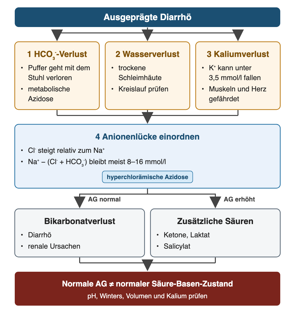 Ausgeprägte Diarrhö führt zu drei Verlusten: 1 HCO₃⁻-Verlust mit metabolischer Azidose, 2 Wasserverlust mit trockenen Schleimhäuten, 3 Kaliumverlust (K⁺ kann unter 3,5 mmol/l fallen). 4 Anionenlücke einordnen: Cl⁻ steigt relativ zum Na⁺, die Lücke bleibt meist 8–16 mmol/l; Etikett hyperchlorämische Azidose. Zwei Zweige: AG normal bei Bikarbonatverlust (Diarrhö, renale Ursachen), AG erhöht bei zusätzlichen Säuren (Ketone, Laktat, Salicylat). Ergebnis: Normale AG ist kein normaler Säure-Basen-Zustand – pH, Winters, Volumen und Kalium prüfen.
