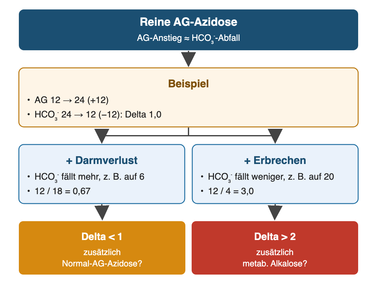 Von oben nach unten: Reine AG-Azidose: AG-Anstieg ≈ HCO₃⁻-Abfall; Beispiel: AG 12 → 24 (+12), HCO₃⁻ 24 → 12 (−12): Delta 1,0; + Darmverlust: HCO₃⁻ fällt mehr, z. B. auf 6, 12 / 18 = 0,67; + Erbrechen: HCO₃⁻ fällt weniger, z. B. auf 20, 12 / 4 = 3,0; Ergebnis: Delta < 1 – zusätzlich Normal-AG-Azidose?; Delta > 2 – zusätzlich metab. Alkalose?.