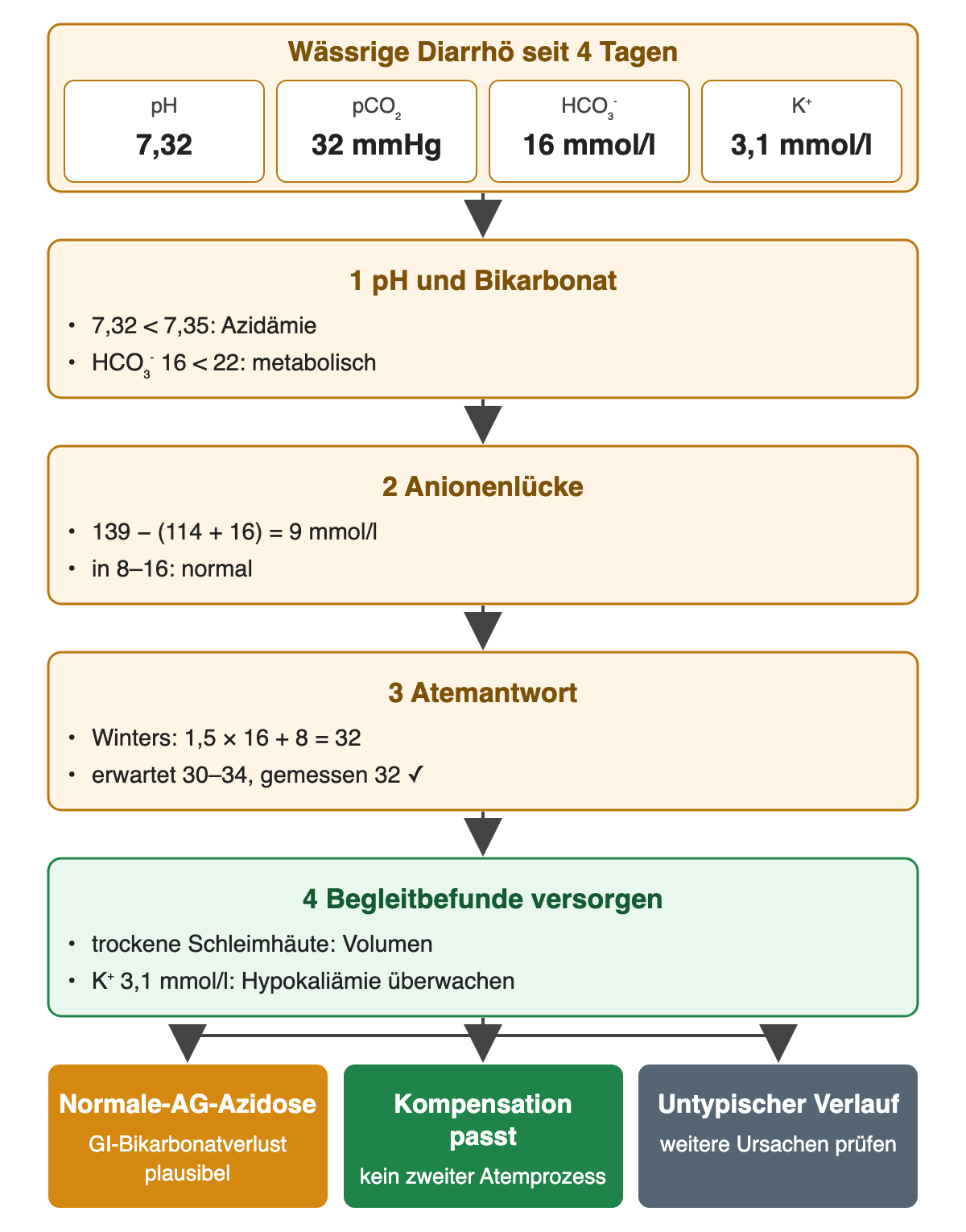 Oben die Falldaten bei wässriger Diarrhö seit 4 Tagen: pH 7,32, pCO₂ 32 mmHg, HCO₃⁻ 16 mmol/l, K⁺ 3,1 mmol/l. 1 pH und Bikarbonat: 7,32 unter 7,35 Azidämie, HCO₃⁻ 16 unter 22 metabolisch. 2 Anionenlücke: 139 − (114 + 16) = 9 mmol/l, normal. 3 Atemantwort: Winters 32, erwartet 30–34, gemessen 32 passend. 4 Begleitbefunde versorgen: Volumen, Hypokaliämie überwachen. Ergebniszeile: Normale-AG-Azidose mit plausiblem GI-Bikarbonatverlust, Kompensation passt, bei untypischem Verlauf weitere Ursachen prüfen.