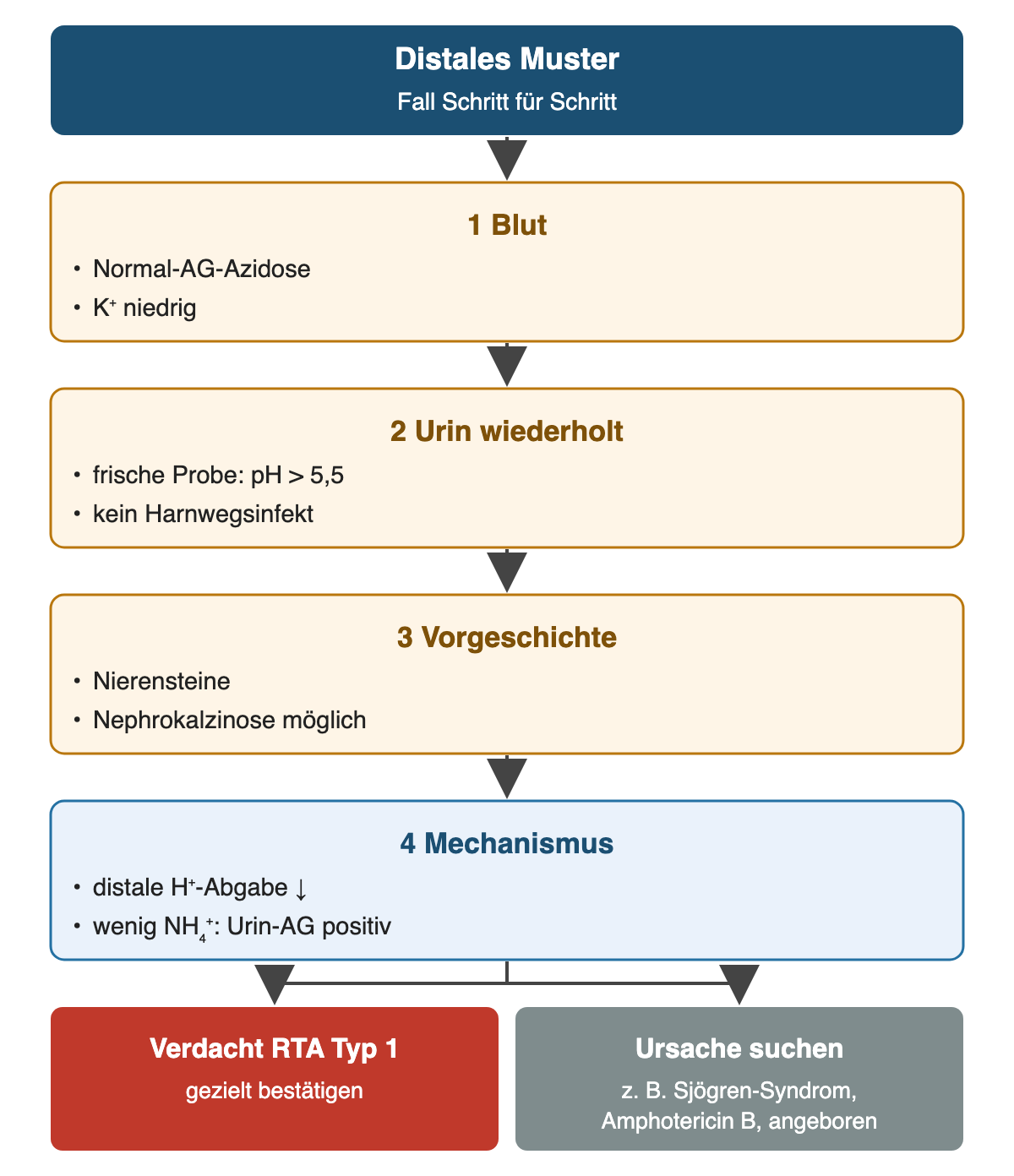 Von oben nach unten: Distales Muster: Fall Schritt für Schritt; Blut: Normal-AG-Azidose, K⁺ niedrig; Urin wiederholt: frische Probe: pH > 5,5, kein Harnwegsinfekt; Vorgeschichte: Nierensteine, Nephrokalzinose möglich; Mechanismus: distale H⁺-Abgabe ↓, wenig NH₄⁺: Urin-AG positiv; Ergebnis: Verdacht RTA Typ 1 – gezielt bestätigen; Ursache suchen – z. B. Sjögren-Syndrom, Amphotericin B, angeboren.