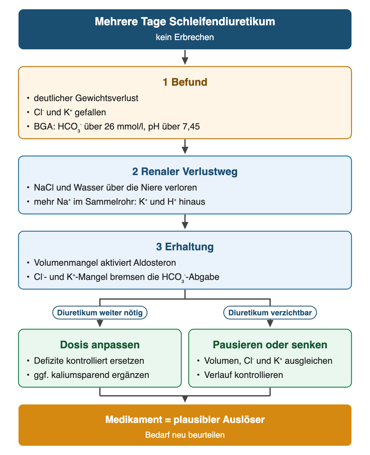 Von oben nach unten: Mehrere Tage Schleifendiuretikum (kein Erbrechen). 1 Befund: deutlicher Gewichtsverlust; Cl⁻ und K⁺ gefallen; BGA: HCO₃⁻ über 26 mmol/l, pH über 7,45. 2 Renaler Verlustweg: NaCl und Wasser über die Niere verloren; mehr Na⁺ im Sammelrohr: K⁺ und H⁺ hinaus. 3 Erhaltung: Volumenmangel aktiviert Aldosteron; Cl⁻- und K⁺-Mangel bremsen die HCO₃⁻-Abgabe. Wenn Diuretikum weiter nötig: Dosis anpassen: Defizite kontrolliert ersetzen; ggf. kaliumsparend ergänzen. Wenn Diuretikum verzichtbar: Pausieren oder senken: Volumen, Cl⁻ und K⁺ ausgleichen; Verlauf kontrollieren. Ergebnis: Medikament = plausibler Auslöser – Bedarf neu beurteilen.