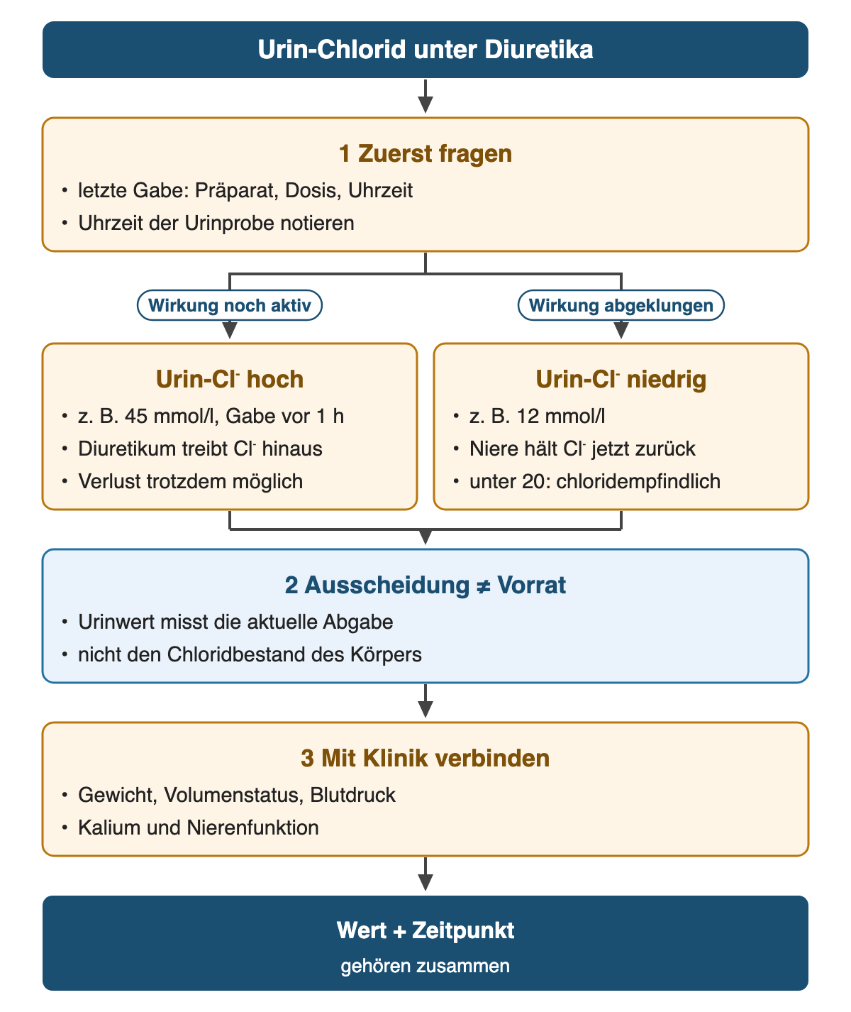 Von oben nach unten: Urin-Chlorid unter Diuretika. 1 Zuerst fragen: letzte Gabe: Präparat, Dosis, Uhrzeit; Uhrzeit der Urinprobe notieren. Wenn Wirkung noch aktiv: Urin-Cl⁻ hoch: z. B. 45 mmol/l, Gabe vor 1 h; Diuretikum treibt Cl⁻ hinaus; Verlust trotzdem möglich. Wenn Wirkung abgeklungen: Urin-Cl⁻ niedrig: z. B. 12 mmol/l; Niere hält Cl⁻ jetzt zurück; unter 20: chloridempfindlich. 2 Ausscheidung ≠ Vorrat: Urinwert misst die aktuelle Abgabe; nicht den Chloridbestand des Körpers. 3 Mit Klinik verbinden: Gewicht, Volumenstatus, Blutdruck; Kalium und Nierenfunktion. Ergebnis: Wert + Zeitpunkt – gehören zusammen.