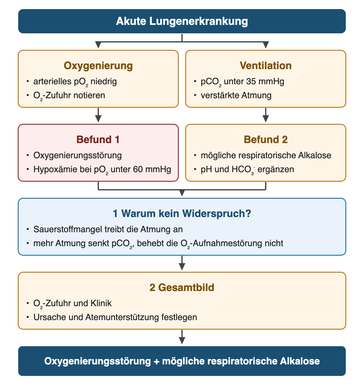 Von oben nach unten: Akute Lungenerkrankung. Oxygenierung: arterielles pO₂ niedrig; O₂-Zufuhr notieren. Ventilation: pCO₂ unter 35 mmHg; verstärkte Atmung. Befund 1: Oxygenierungsstörung; Hypoxämie bei pO₂ unter 60 mmHg. Befund 2: mögliche respiratorische Alkalose; pH und HCO₃⁻ ergänzen. 1 Warum kein Widerspruch?: Sauerstoffmangel treibt die Atmung an; mehr Atmung senkt pCO₂, behebt die O₂-Aufnahmestörung nicht. 2 Gesamtbild: O₂-Zufuhr und Klinik; Ursache und Atemunterstützung festlegen. Ergebnis: Oxygenierungsstörung + mögliche respiratorische Alkalose.