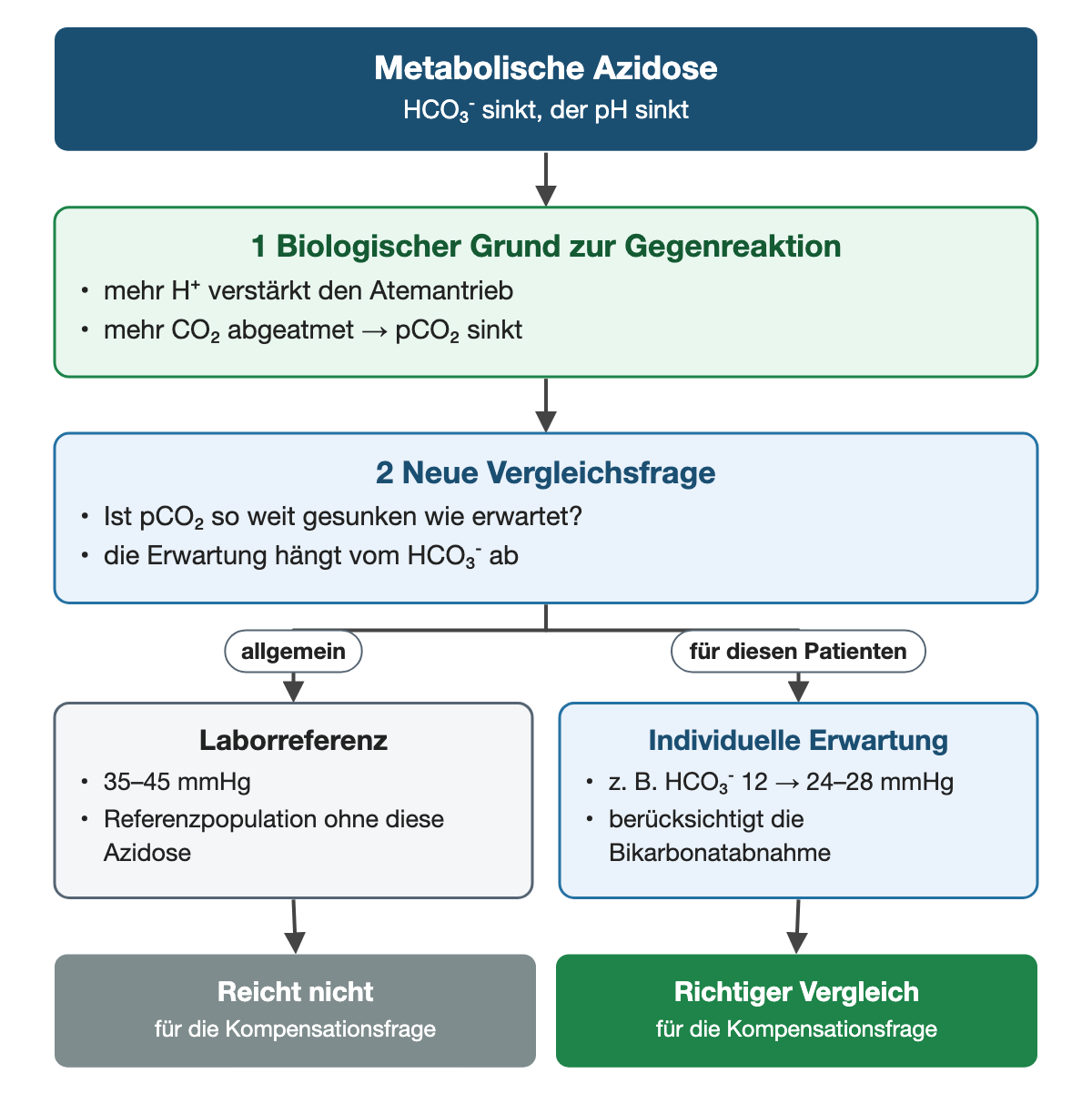 Von oben nach unten. Oben: Metabolische Azidose (HCO₃⁻ sinkt, der pH sinkt). 1 Biologischer Grund zur Gegenreaktion: mehr H⁺ verstärkt den Atemantrieb, mehr CO₂ abgeatmet → pCO₂ sinkt. 2 Neue Vergleichsfrage: Ist pCO₂ so weit gesunken wie erwartet?, die Erwartung hängt vom HCO₃⁻ ab. Nebeneinander: allgemein → Laborreferenz: 35–45 mmHg, Referenzpopulation ohne diese Azidose | für diesen Patienten → Individuelle Erwartung: z. B. HCO₃⁻ 12 → 24–28 mmHg, berücksichtigt die Bikarbonatabnahme. Ergebnis: Reicht nicht (für die Kompensationsfrage) | Richtiger Vergleich (für die Kompensationsfrage).