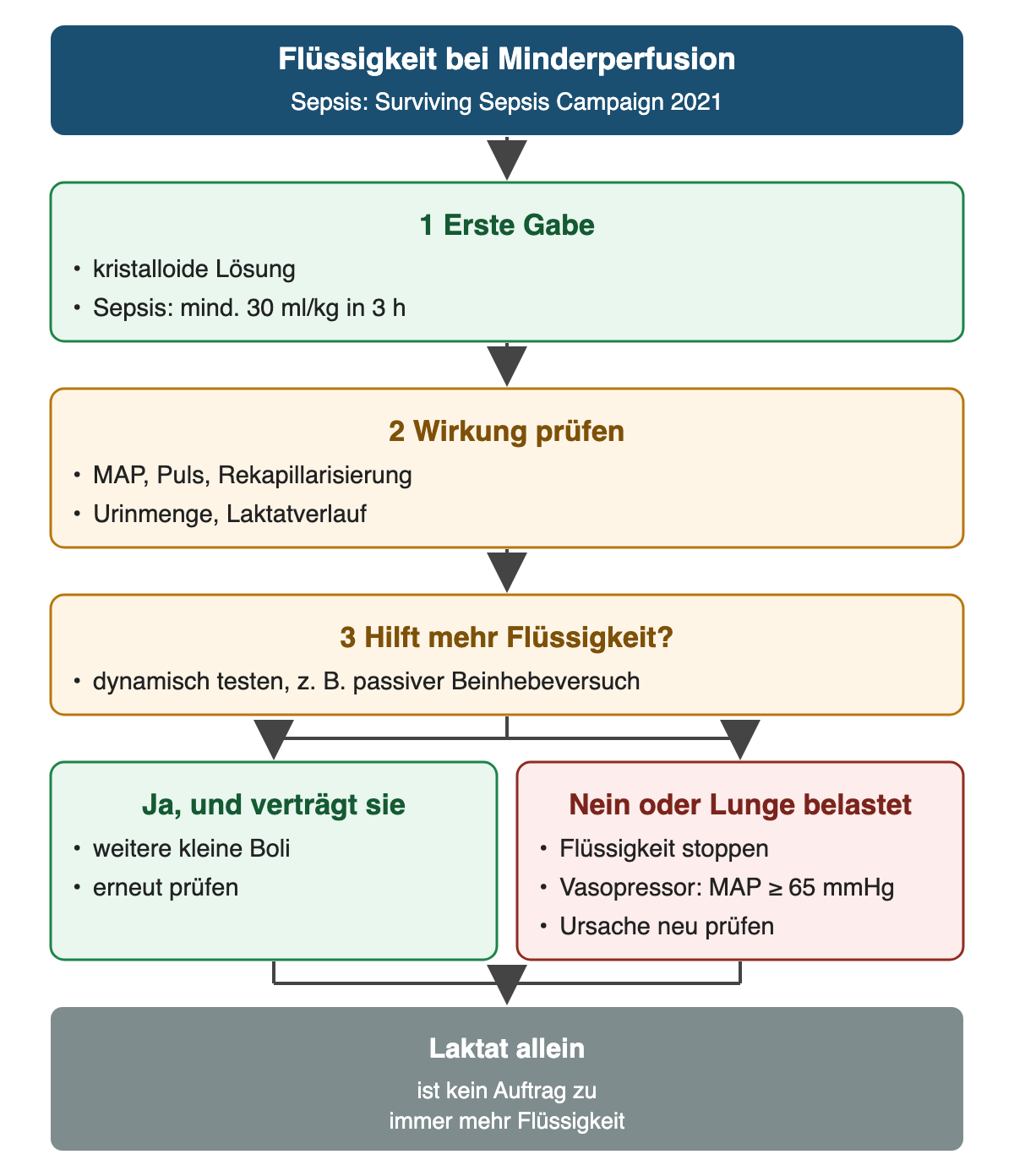 Von oben nach unten: Flüssigkeit bei Minderperfusion: Sepsis: Surviving Sepsis Campaign 2021; Erste Gabe: kristalloide Lösung, Sepsis: mind. 30 ml/kg in 3 h; Wirkung prüfen: MAP, Puls, Rekapillarisierung, Urinmenge, Laktatverlauf; Hilft mehr Flüssigkeit?: dynamisch testen, z. B. passiver Beinhebeversuch; Ja, und verträgt sie: weitere kleine Boli, erneut prüfen; Nein oder Lunge belastet: Flüssigkeit stoppen, Vasopressor: MAP ≥ 65 mmHg, Ursache neu prüfen; Ergebnis: Laktat allein – ist kein Auftrag zu immer mehr Flüssigkeit.