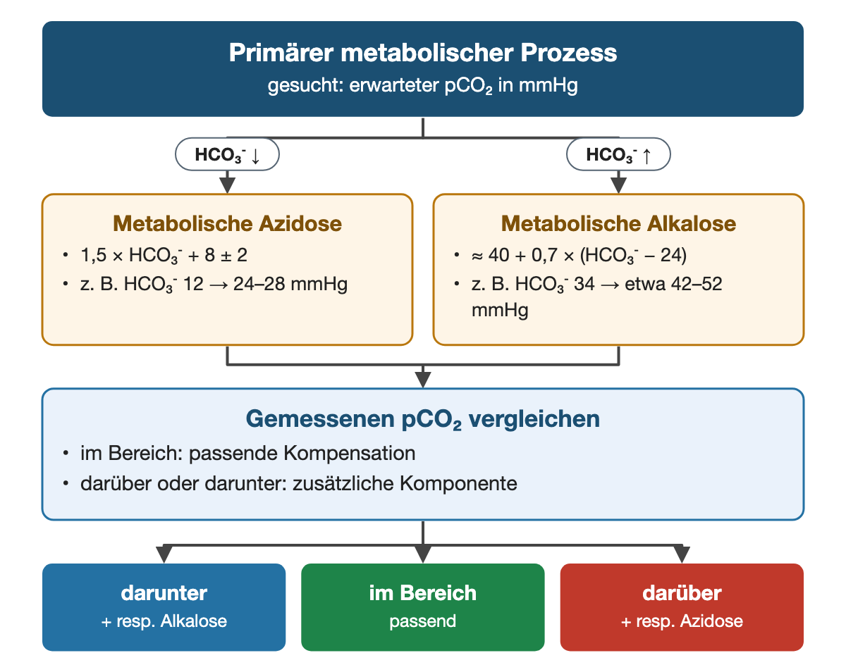 Von oben nach unten. Oben: Primärer metabolischer Prozess (gesucht: erwarteter pCO₂ in mmHg). Nebeneinander: HCO₃⁻ ↓ → Metabolische Azidose: 1,5 × HCO₃⁻ + 8 ± 2, z. B. HCO₃⁻ 12 → 24–28 mmHg | HCO₃⁻ ↑ → Metabolische Alkalose: ≈ 40 + 0,7 × (HCO₃⁻ − 24), z. B. HCO₃⁻ 34 → etwa 42–52 mmHg. Gemessenen pCO₂ vergleichen: im Bereich: passende Kompensation, darüber oder darunter: zusätzliche Komponente. Ergebnis: darunter (+ resp. Alkalose) | im Bereich (passend) | darüber (+ resp. Azidose).