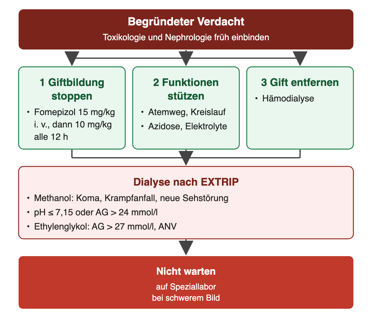 Von oben nach unten: Begründeter Verdacht: Toxikologie und Nephrologie früh einbinden; 1 Giftbildung stoppen: Fomepizol 15 mg/kg i. v., dann 10 mg/kg alle 12 h; 2 Funktionen stützen: Atemweg, Kreislauf, Azidose, Elektrolyte; 3 Gift entfernen: Hämodialyse; Dialyse nach EXTRIP: Methanol: Koma, Krampfanfall, neue Sehstörung, pH ≤ 7,15 oder AG > 24 mmol/l, Ethylenglykol: AG > 27 mmol/l, ANV; Ergebnis: Nicht warten – auf Speziallabor bei schwerem Bild.