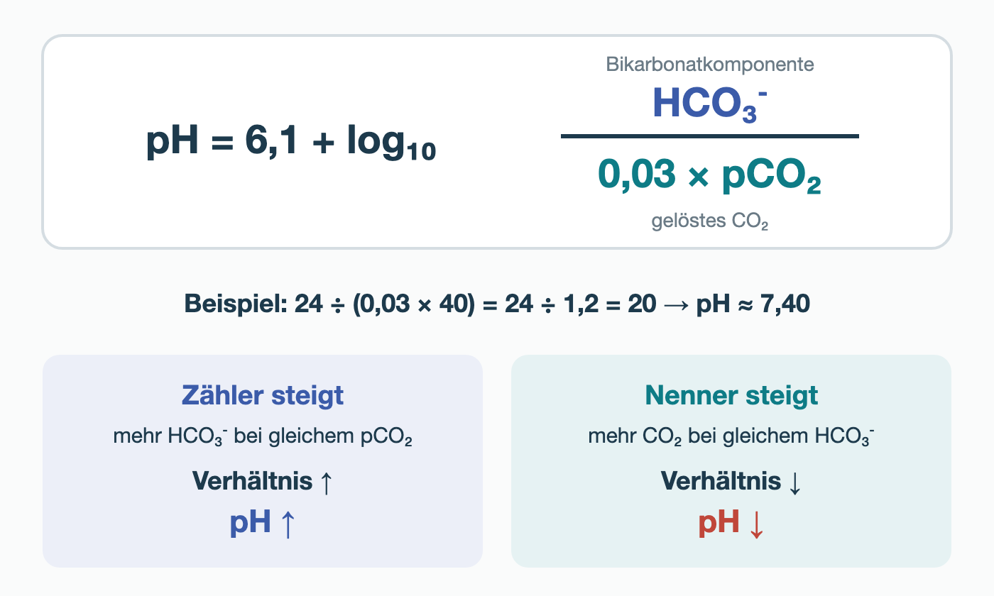 Die Henderson-Hasselbalch-Gleichung mit HCO₃⁻ als Bikarbonatkomponente im Zähler und 0,03 × pCO₂ als gelöstem CO₂ im Nenner. Beispiel: 24 geteilt durch 1,2 ergibt 20, pH etwa 7,40. Steigt der Zähler, steigen Verhältnis und pH; steigt der Nenner, sinken Verhältnis und pH.