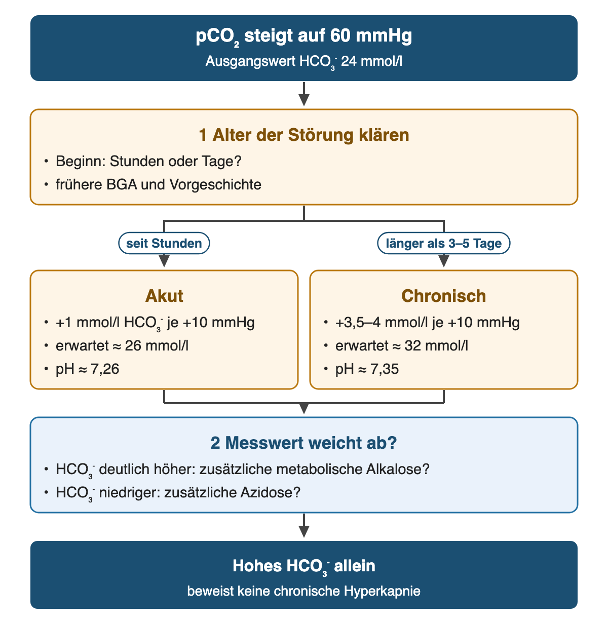 Von oben nach unten: pCO₂ steigt auf 60 mmHg (Ausgangswert HCO₃⁻ 24 mmol/l). 1 Alter der Störung klären: Beginn: Stunden oder Tage?; frühere BGA und Vorgeschichte. Wenn seit Stunden: Akut: +1 mmol/l HCO₃⁻ je +10 mmHg; erwartet ≈ 26 mmol/l; pH ≈ 7,26. Wenn länger als 3–5 Tage: Chronisch: +3,5–4 mmol/l je +10 mmHg; erwartet ≈ 32 mmol/l; pH ≈ 7,35. 2 Messwert weicht ab?: HCO₃⁻ deutlich höher: zusätzliche metabolische Alkalose?; HCO₃⁻ niedriger: zusätzliche Azidose?. Ergebnis: Hohes HCO₃⁻ allein – beweist keine chronische Hyperkapnie.