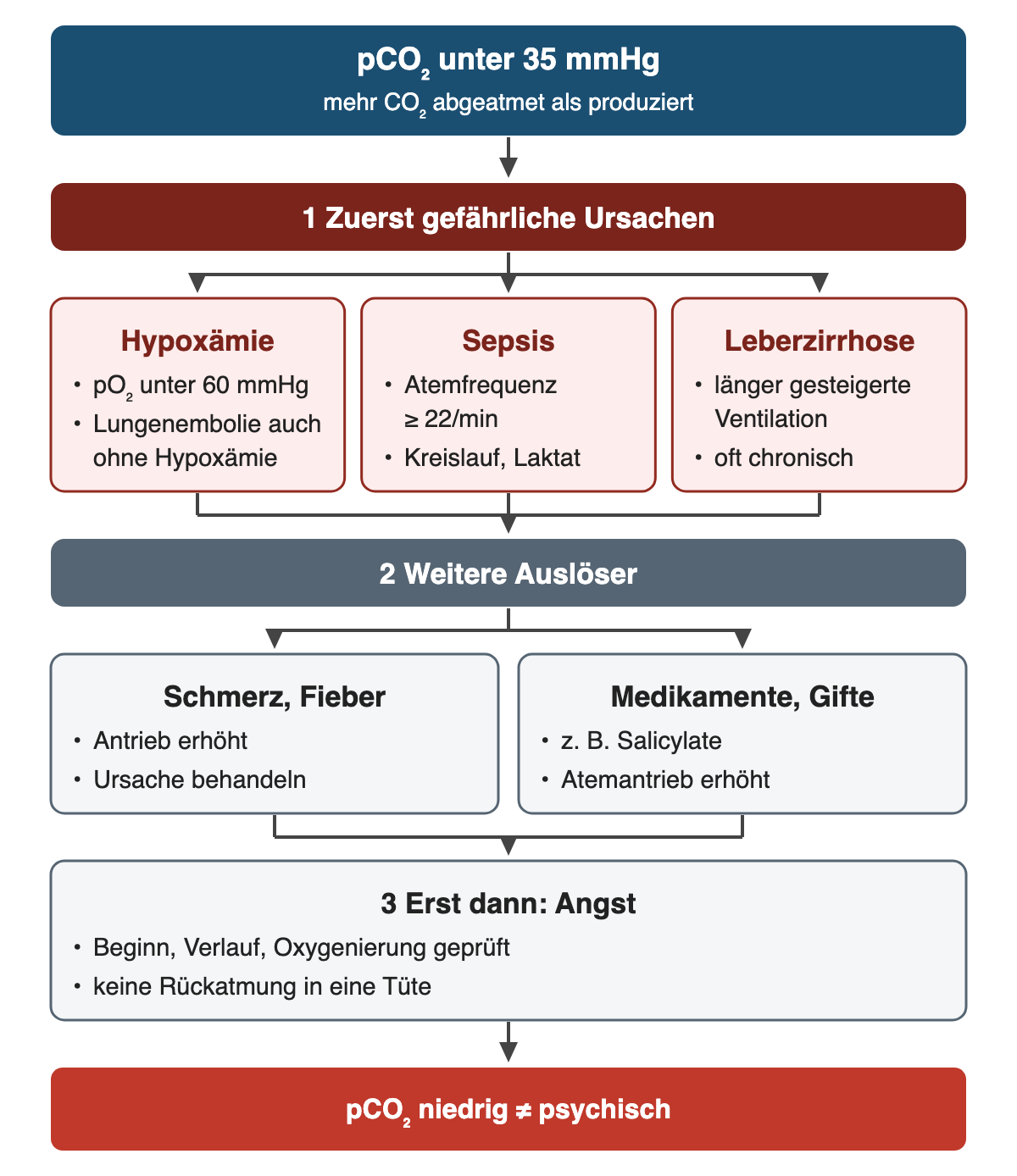 Von oben nach unten: pCO₂ unter 35 mmHg (mehr CO₂ abgeatmet als produziert). 1 Zuerst gefährliche Ursachen. Hypoxämie: pO₂ unter 60 mmHg; Lungenembolie auch ohne Hypoxämie. Sepsis: Atemfrequenz ≥ 22/min; Kreislauf, Laktat. Leberzirrhose: länger gesteigerte Ventilation; oft chronisch. 2 Weitere Auslöser. Schmerz, Fieber: Antrieb erhöht; Ursache behandeln. Medikamente, Gifte: z. B. Salicylate; Atemantrieb erhöht. 3 Erst dann: Angst: Beginn, Verlauf, Oxygenierung geprüft; keine Rückatmung in eine Tüte. Ergebnis: pCO₂ niedrig ≠ psychisch.