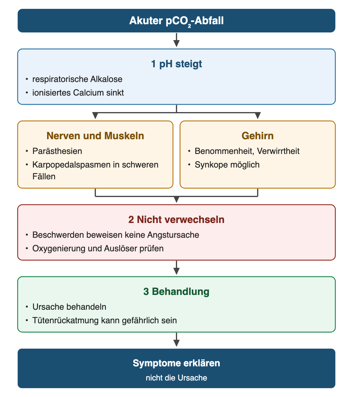 Von oben nach unten: Akuter pCO₂-Abfall. 1 pH steigt: respiratorische Alkalose; ionisiertes Calcium sinkt. Nerven und Muskeln: Parästhesien; Karpopedalspasmen in schweren Fällen. Gehirn: Benommenheit, Verwirrtheit; Synkope möglich. 2 Nicht verwechseln: Beschwerden beweisen keine Angstursache; Oxygenierung und Auslöser prüfen. 3 Behandlung: Ursache behandeln; Tütenrückatmung kann gefährlich sein. Ergebnis: Symptome erklären – nicht die Ursache.