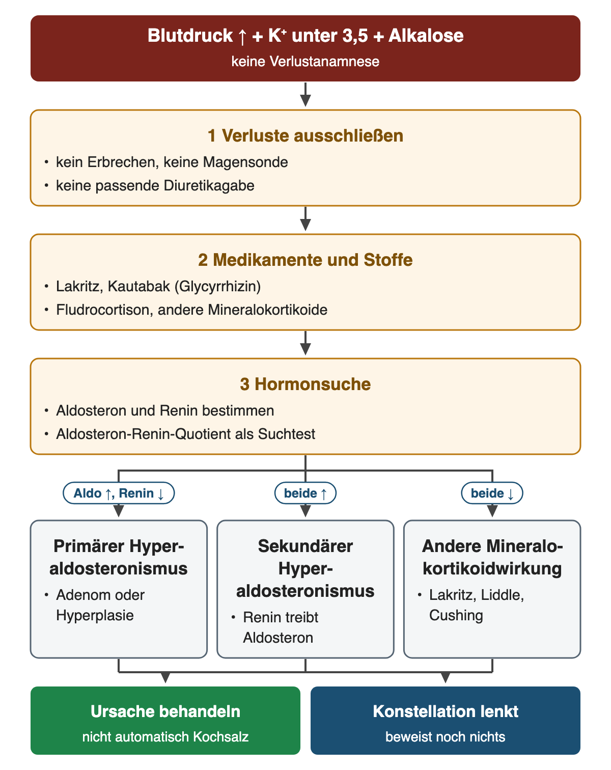 Von oben nach unten: Blutdruck ↑ + K⁺ unter 3,5 + Alkalose (keine Verlustanamnese). 1 Verluste ausschließen: kein Erbrechen, keine Magensonde; keine passende Diuretikagabe. 2 Medikamente und Stoffe: Lakritz, Kautabak (Glycyrrhizin); Fludrocortison, andere Mineralokortikoide. 3 Hormonsuche: Aldosteron und Renin bestimmen; Aldosteron-Renin-Quotient als Suchtest. Wenn Aldo ↑, Renin ↓: Primärer Hyperaldosteronismus: Adenom oder Hyperplasie. Wenn beide ↑: Sekundärer Hyperaldosteronismus: Renin treibt Aldosteron. Wenn beide ↓: Andere Mineralokortikoidwirkung: Lakritz, Liddle, Cushing. Ergebnis: Ursache behandeln – nicht automatisch Kochsalz | Konstellation lenkt – beweist noch nichts.
