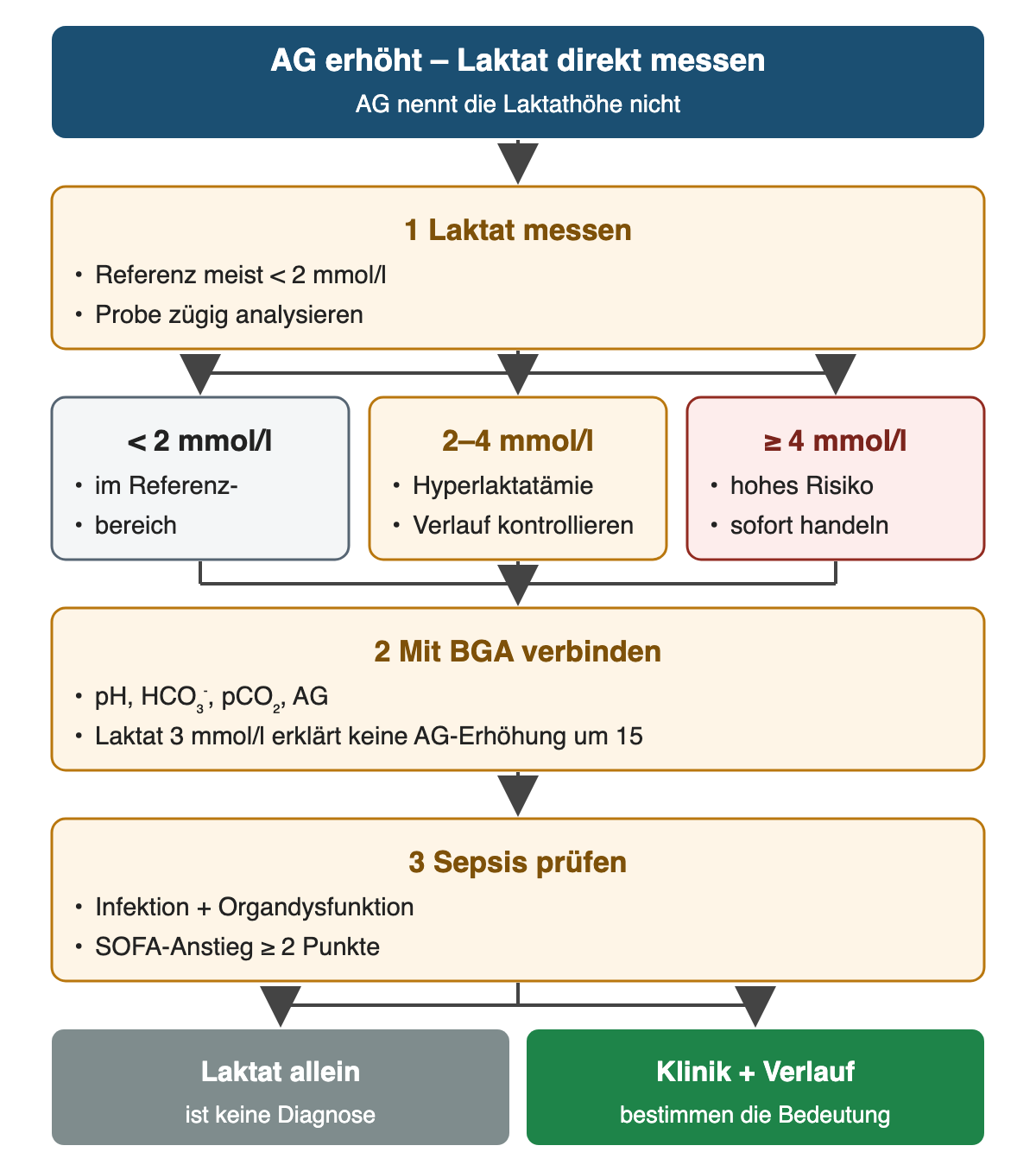 Von oben nach unten: AG erhöht – Laktat direkt messen: AG nennt die Laktathöhe nicht; Laktat messen: Referenz meist < 2 mmol/l, Probe zügig analysieren; < 2 mmol/l: im Referenzbereich; 2–4 mmol/l: Hyperlaktatämie, Verlauf kontrollieren; ≥ 4 mmol/l: hohes Risiko, sofort handeln; Mit BGA verbinden: pH, HCO₃⁻, pCO₂, AG, Laktat 3 mmol/l erklärt keine AG-Erhöhung um 15; Sepsis prüfen: Infektion + Organdysfunktion, SOFA-Anstieg ≥ 2 Punkte; Ergebnis: Laktat allein – ist keine Diagnose; Klinik + Verlauf – bestimmen die Bedeutung.