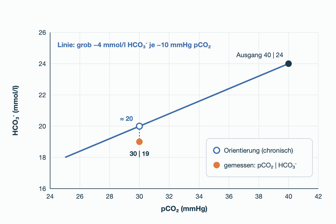 Liniendiagramm: pCO₂ in mmHg waagerecht, HCO₃⁻ in mmol/l senkrecht; Linie vom Ausgang 40 | 24 mit grob minus 4 mmol/l je minus 10 mmHg; bei pCO₂ 30 Orientierung etwa 20, gemessen 19 mmol/l.