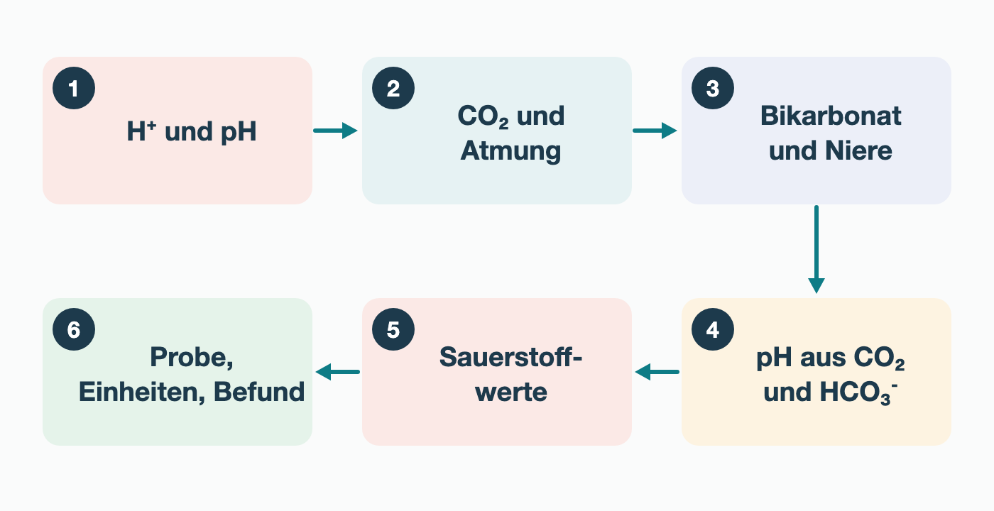 Sechs nummerierte Stationen in zwei Reihen: 1 H⁺ und pH, 2 CO₂ und Atmung, 3 Bikarbonat und Niere, 4 pH aus CO₂ und HCO₃⁻, 5 Sauerstoffwerte, 6 Probe, Einheiten, Befund.