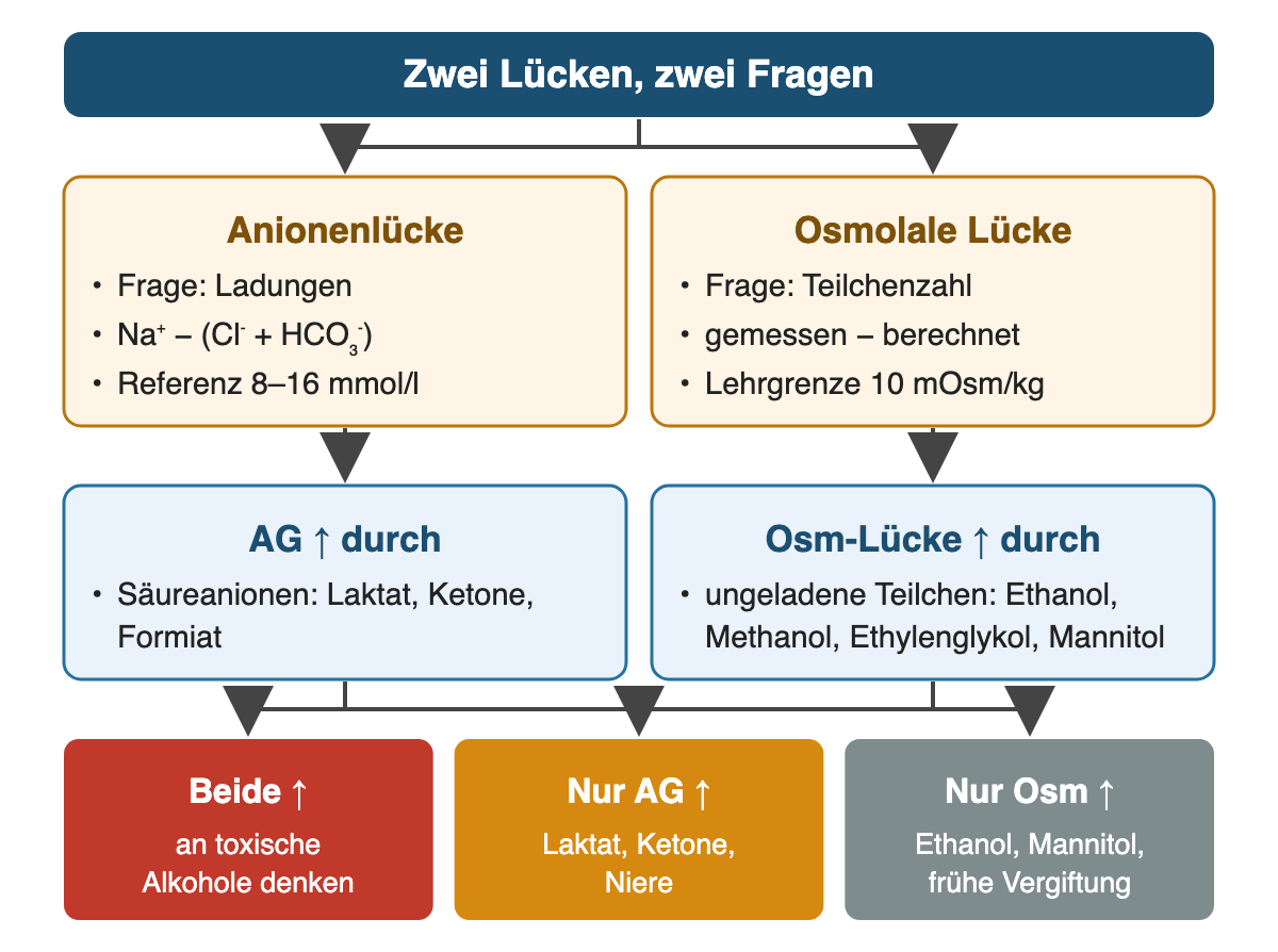 Von oben nach unten: Zwei Lücken, zwei Fragen; Anionenlücke: Frage: Ladungen, Na⁺ − (Cl⁻ + HCO₃⁻), Referenz 8–16 mmol/l; Osmolale Lücke: Frage: Teilchenzahl, gemessen − berechnet, Lehrgrenze 10 mOsm/kg; AG ↑ durch: Säureanionen: Laktat, Ketone, Formiat; Osm-Lücke ↑ durch: ungeladene Teilchen: Ethanol, Methanol, Ethylenglykol, Mannitol; Ergebnis: Beide ↑ – an toxische Alkohole denken; Nur AG ↑ – Laktat, Ketone, Niere; Nur Osm ↑ – Ethanol, Mannitol, frühe Vergiftung.