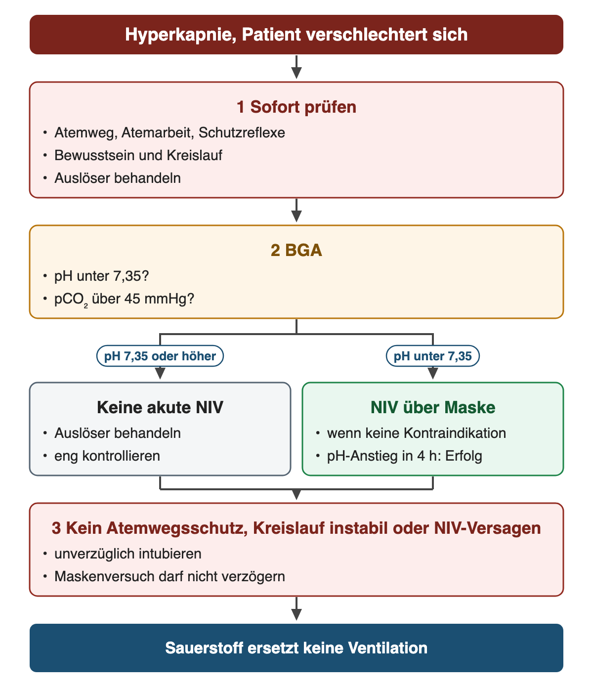 Von oben nach unten: Hyperkapnie, Patient verschlechtert sich. 1 Sofort prüfen: Atemweg, Atemarbeit, Schutzreflexe; Bewusstsein und Kreislauf; Auslöser behandeln. 2 BGA: pH unter 7,35?; pCO₂ über 45 mmHg?. Wenn pH 7,35 oder höher: Keine akute NIV: Auslöser behandeln; eng kontrollieren. Wenn pH unter 7,35: NIV über Maske: wenn keine Kontraindikation; pH-Anstieg in 4 h: Erfolg. 3 Kein Atemwegsschutz, Kreislauf instabil oder NIV-Versagen: unverzüglich intubieren; Maskenversuch darf nicht verzögern. Ergebnis: Sauerstoff ersetzt keine Ventilation.