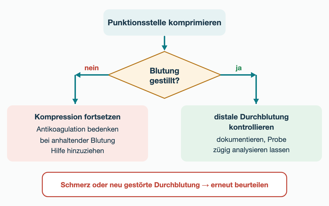 Ablaufschema nach der Punktion: Punktionsstelle komprimieren, dann die Frage, ob die Blutung gestillt ist. Bei nein: Kompression fortsetzen, Antikoagulation bedenken und bei anhaltender Blutung Hilfe hinzuziehen. Bei ja: distale Durchblutung kontrollieren, dokumentieren und die Probe zügig analysieren lassen. Schmerz oder neu gestörte Durchblutung erfordern eine erneute Beurteilung.