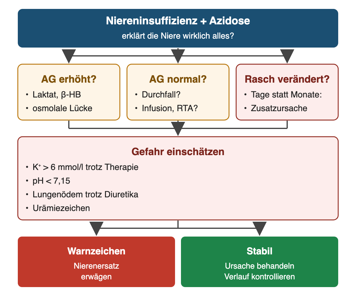Von oben nach unten: Niereninsuffizienz + Azidose: erklärt die Niere wirklich alles?; AG erhöht?: Laktat, β-HB, osmolale Lücke; AG normal?: Durchfall?, Infusion, RTA?; Rasch verändert?: Tage statt Monate: Zusatzursache; Gefahr einschätzen: K⁺ > 6 mmol/l trotz Therapie, pH < 7,15, Lungenödem trotz Diuretika, Urämiezeichen; Ergebnis: Warnzeichen – Nierenersatz erwägen; Stabil – Ursache behandeln, Verlauf kontrollieren.