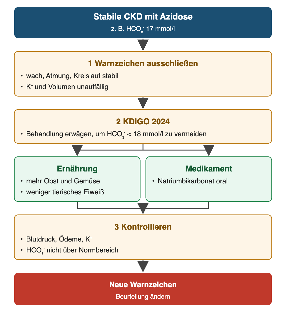 Von oben nach unten: Stabile CKD mit Azidose: z. B. HCO₃⁻ 17 mmol/l; Warnzeichen ausschließen: wach, Atmung, Kreislauf stabil, K⁺ und Volumen unauffällig; KDIGO 2024: Behandlung erwägen, um HCO₃⁻ < 18 mmol/l zu vermeiden; Ernährung: mehr Obst und Gemüse, weniger tierisches Eiweiß; Medikament: Natriumbikarbonat oral; Kontrollieren: Blutdruck, Ödeme, K⁺, HCO₃⁻ nicht über Normbereich; Ergebnis: Neue Warnzeichen – Beurteilung ändern.