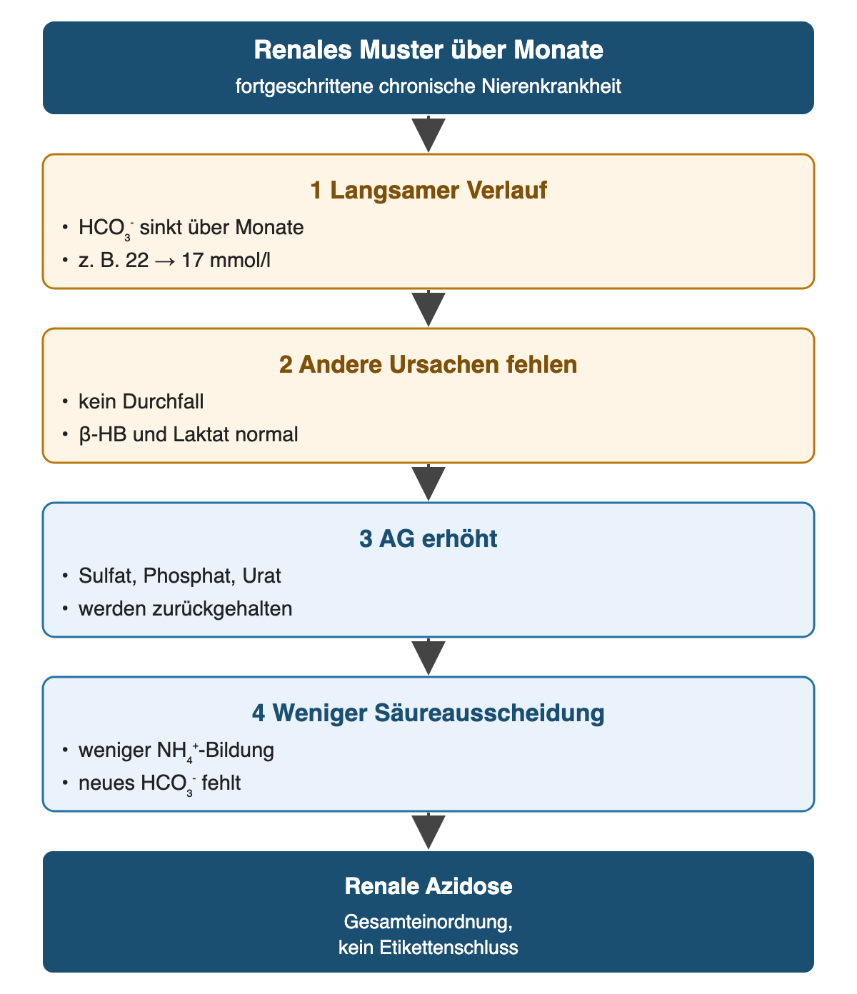 Von oben nach unten: Renales Muster über Monate: fortgeschrittene chronische Nierenkrankheit; Langsamer Verlauf: HCO₃⁻ sinkt über Monate, z. B. 22 → 17 mmol/l; Andere Ursachen fehlen: kein Durchfall, β-HB und Laktat normal; AG erhöht: Sulfat, Phosphat, Urat, werden zurückgehalten; Weniger Säureausscheidung: weniger NH₄⁺-Bildung, neues HCO₃⁻ fehlt; Ergebnis: Renale Azidose – Gesamteinordnung, kein Etikettenschluss.