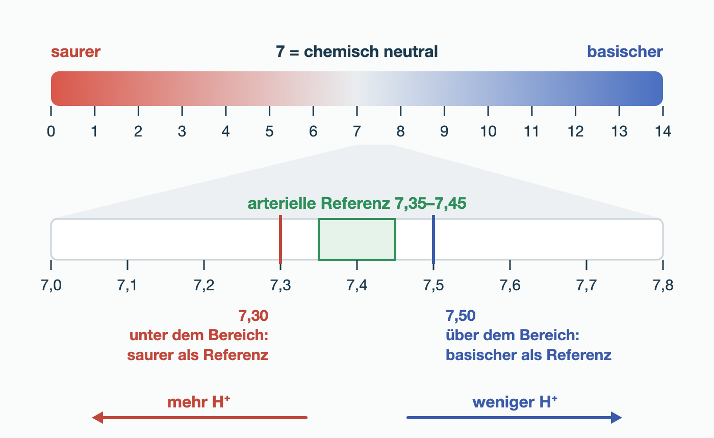 Waagerechte pH-Skala von 0 bis 14 mit 7 als chemisch neutralem Punkt. Eine Vergrößerung von 7,0 bis 7,8 zeigt den arteriellen Referenzbereich 7,35–7,45; 7,30 liegt darunter, 7,50 darüber. Pfeile: nach links mehr H⁺, nach rechts weniger H⁺.