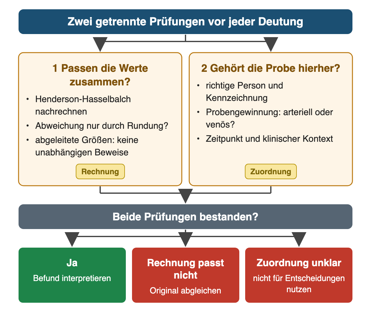 Zwei Prüfungen nebeneinander: 1 Passen die Werte zusammen? Henderson-Hasselbalch nachrechnen, Abweichung nur durch Rundung, abgeleitete Größen sind keine unabhängigen Beweise. 2 Gehört die Probe hierher? Richtige Person und Kennzeichnung, Probengewinnung arteriell oder venös, Zeitpunkt und klinischer Kontext. Darunter die Frage: Beide Prüfungen bestanden? Ergebnis: ja – Befund interpretieren; Rechnung passt nicht – Original abgleichen; Zuordnung unklar – nicht für Entscheidungen nutzen.