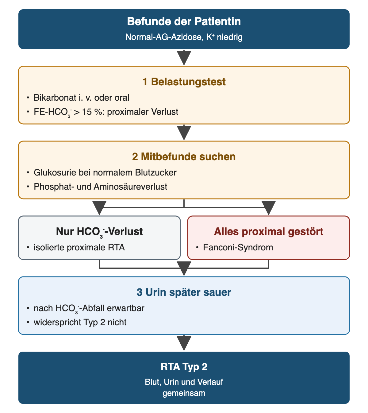 Von oben nach unten: Befunde der Patientin: Normal-AG-Azidose, K⁺ niedrig; Belastungstest: Bikarbonat i. v. oder oral, FE-HCO₃⁻ > 15 %: proximaler Verlust; Mitbefunde suchen: Glukosurie bei normalem Blutzucker, Phosphat- und Aminosäureverlust; Nur HCO₃⁻-Verlust: isolierte proximale RTA; Alles proximal gestört: Fanconi-Syndrom; Urin später sauer: nach HCO₃⁻-Abfall erwartbar, widerspricht Typ 2 nicht; Ergebnis: RTA Typ 2 – Blut, Urin und Verlauf gemeinsam.