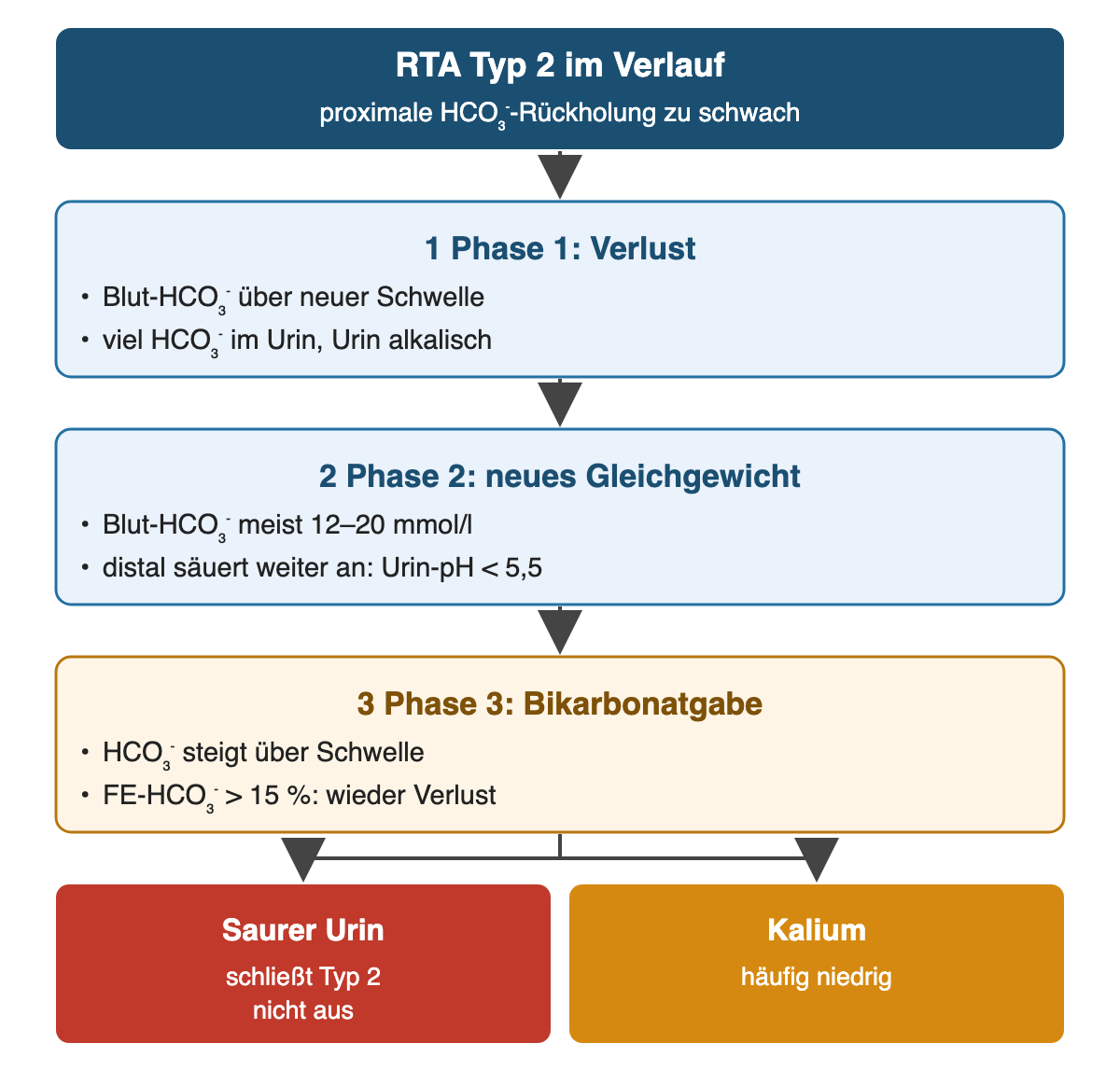 Von oben nach unten: RTA Typ 2 im Verlauf: proximale HCO₃⁻-Rückholung zu schwach; Phase 1: Verlust: Blut-HCO₃⁻ über neuer Schwelle, viel HCO₃⁻ im Urin, Urin alkalisch; Phase 2: neues Gleichgewicht: Blut-HCO₃⁻ meist 12–20 mmol/l, distal säuert weiter an: Urin-pH < 5,5; Phase 3: Bikarbonatgabe: HCO₃⁻ steigt über Schwelle, FE-HCO₃⁻ > 15 %: wieder Verlust; Ergebnis: Saurer Urin – schließt Typ 2 nicht aus; Kalium – häufig niedrig.
