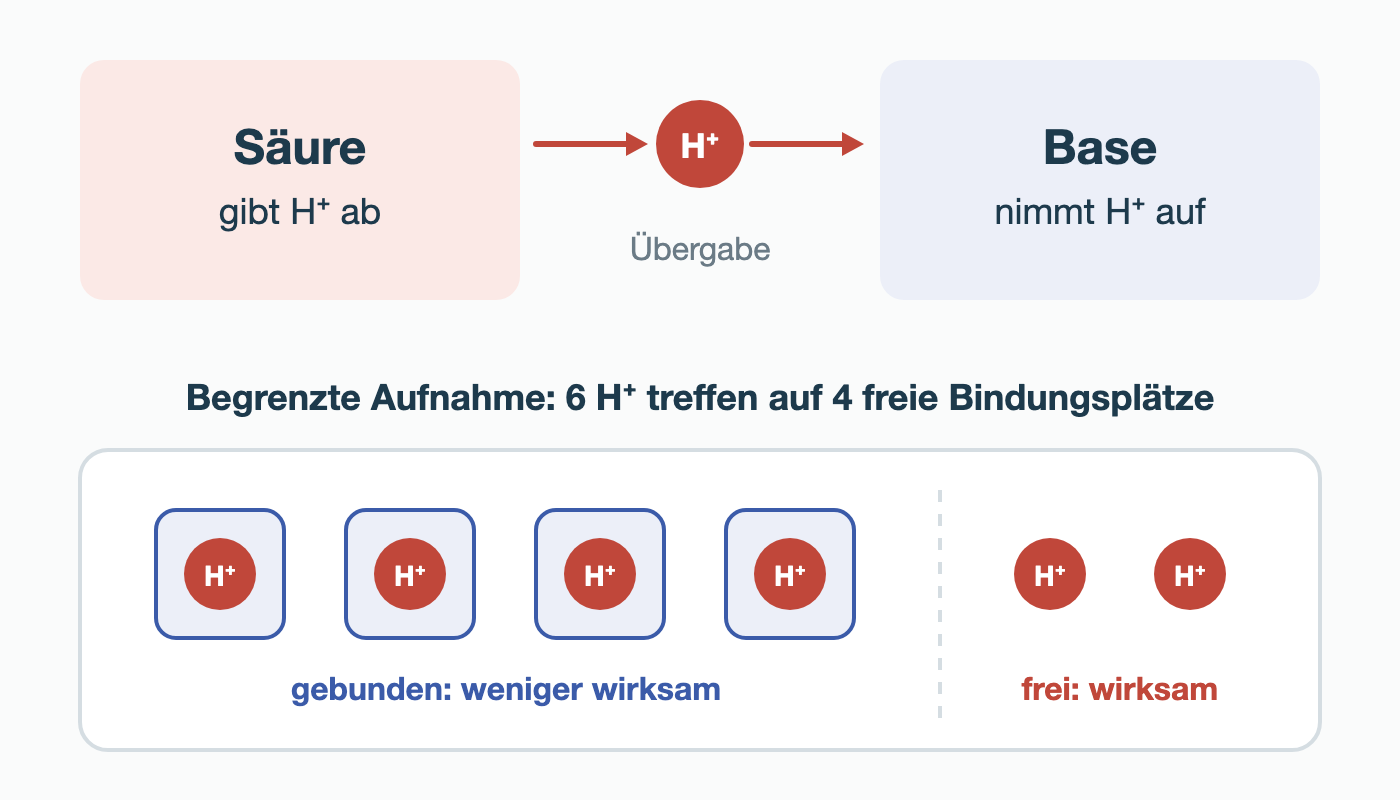 Oben gibt eine Säure ein H⁺ an eine Base ab. Unten treffen sechs H⁺ auf vier freie Bindungsplätze: Vier H⁺ sind gebunden und weniger wirksam, zwei bleiben frei und wirksam.