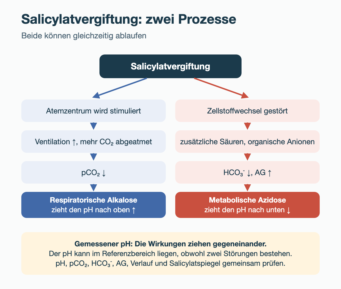 Schema: Salicylatvergiftung führt über Stimulation des Atemzentrums zu höherer Ventilation, niedrigem pCO₂ und respiratorischer Alkalose; über gestörten Zellstoffwechsel zu zusätzlichen Säuren und organischen Anionen, niedrigem HCO₃⁻, erhöhter AG und metabolischer Azidose. Beide Wirkungen ziehen den pH in entgegengesetzte Richtungen.