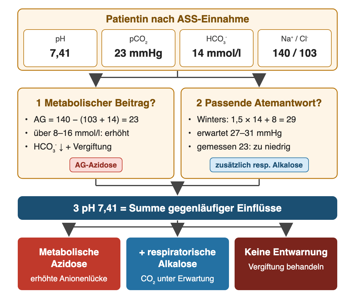 Oben die Falldaten: pH 7,41, pCO₂ 23 mmHg, HCO₃⁻ 14 mmol/l, Na⁺/Cl⁻ 140/103. Zwei Fragen nebeneinander: 1 Metabolischer Beitrag? AG = 140 − (103 + 14) = 23, über 8–16 mmol/l erhöht, Etikett AG-Azidose. 2 Passende Atemantwort? Winters 1,5 × 14 + 8 = 29, erwartet 27–31 mmHg, gemessen 23 zu niedrig, Etikett zusätzlich respiratorische Alkalose. 3 pH 7,41 ist die Summe gegenläufiger Einflüsse. Ergebniszeile: metabolische Azidose mit erhöhter Anionenlücke, plus respiratorische Alkalose, keine Entwarnung – Vergiftung behandeln.