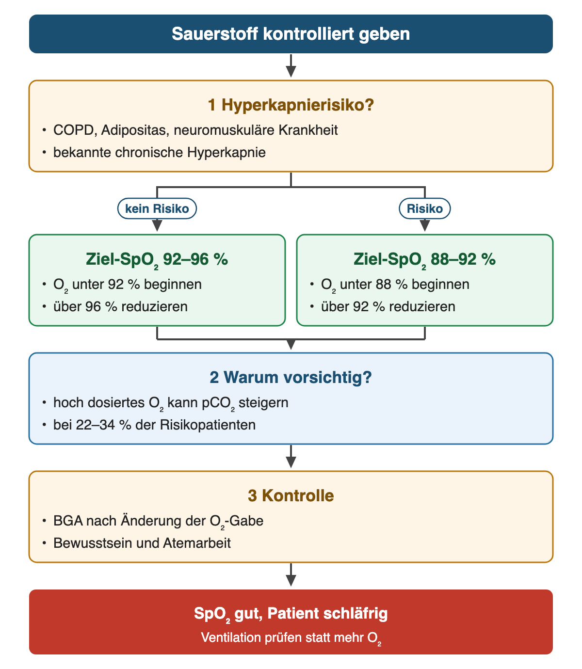 Von oben nach unten: Sauerstoff kontrolliert geben. 1 Hyperkapnierisiko?: COPD, Adipositas, neuromuskuläre Krankheit; bekannte chronische Hyperkapnie. Wenn kein Risiko: Ziel-SpO₂ 92–96 %: O₂ unter 92 % beginnen; über 96 % reduzieren. Wenn Risiko: Ziel-SpO₂ 88–92 %: O₂ unter 88 % beginnen; über 92 % reduzieren. 2 Warum vorsichtig?: hoch dosiertes O₂ kann pCO₂ steigern; bei 22–34 % der Risikopatienten. 3 Kontrolle: BGA nach Änderung der O₂-Gabe; Bewusstsein und Atemarbeit. Ergebnis: SpO₂ gut, Patient schläfrig – Ventilation prüfen statt mehr O₂.