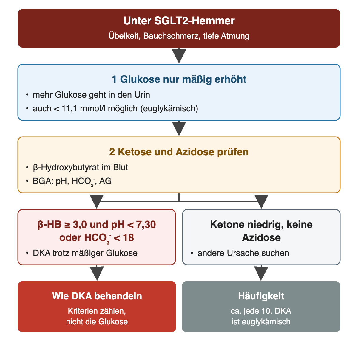 Von oben nach unten: Unter SGLT2-Hemmer: Übelkeit, Bauchschmerz, tiefe Atmung; Glukose nur mäßig erhöht: mehr Glukose geht in den Urin, auch < 11,1 mmol/l möglich (euglykämisch); Ketose und Azidose prüfen: β-Hydroxybutyrat im Blut, BGA: pH, HCO₃⁻, AG; β-HB ≥ 3,0 und pH < 7,30 oder HCO₃⁻ < 18: DKA trotz mäßiger Glukose; Ketone niedrig, keine Azidose: andere Ursache suchen; Ergebnis: Wie DKA behandeln – Kriterien zählen, nicht die Glukose; Häufigkeit – ca. jede 10. DKA ist euglykämisch.