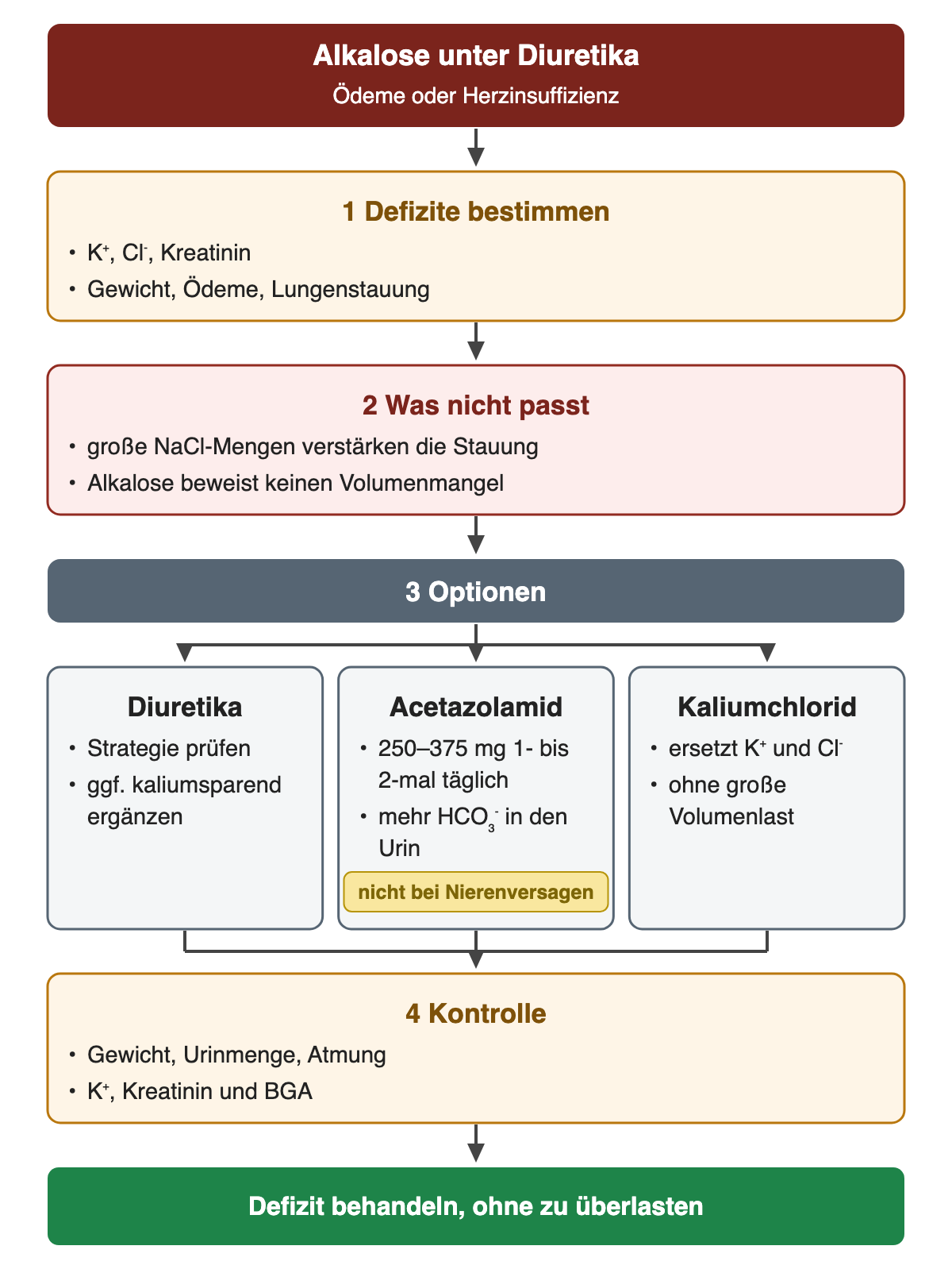 Von oben nach unten: Alkalose unter Diuretika (Ödeme oder Herzinsuffizienz). 1 Defizite bestimmen: K⁺, Cl⁻, Kreatinin; Gewicht, Ödeme, Lungenstauung. 2 Was nicht passt: große NaCl-Mengen verstärken die Stauung; Alkalose beweist keinen Volumenmangel. 3 Optionen. Diuretika: Strategie prüfen; ggf. kaliumsparend ergänzen. Acetazolamid: 250–375 mg 1- bis 2-mal täglich; mehr HCO₃⁻ in den Urin (nicht bei Nierenversagen). Kaliumchlorid: ersetzt K⁺ und Cl⁻; ohne große Volumenlast. 4 Kontrolle: Gewicht, Urinmenge, Atmung; K⁺, Kreatinin und BGA. Ergebnis: Defizit behandeln, ohne zu überlasten.