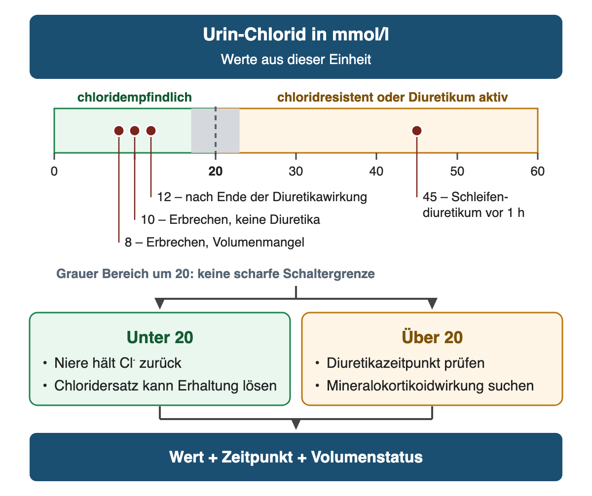 Von oben nach unten: Urin-Chlorid in mmol/l (Werte aus dieser Einheit). Waagerechte Skala 0 bis 60 mmol/l: unter 20 grün chloridempfindlich, über 20 gelb chloridresistent oder Diuretikum aktiv, grauer Bereich um 20 ohne scharfe Grenze. Markiert: 8 Erbrechen mit Volumenmangel, 10 Erbrechen ohne Diuretika, 12 nach Ende der Diuretikawirkung, 45 Schleifendiuretikum vor einer Stunde. Unter 20: Niere hält Cl⁻ zurück; Chloridersatz kann Erhaltung lösen. Über 20: Diuretikazeitpunkt prüfen; Mineralokortikoidwirkung suchen. Ergebnis: Wert + Zeitpunkt + Volumenstatus.