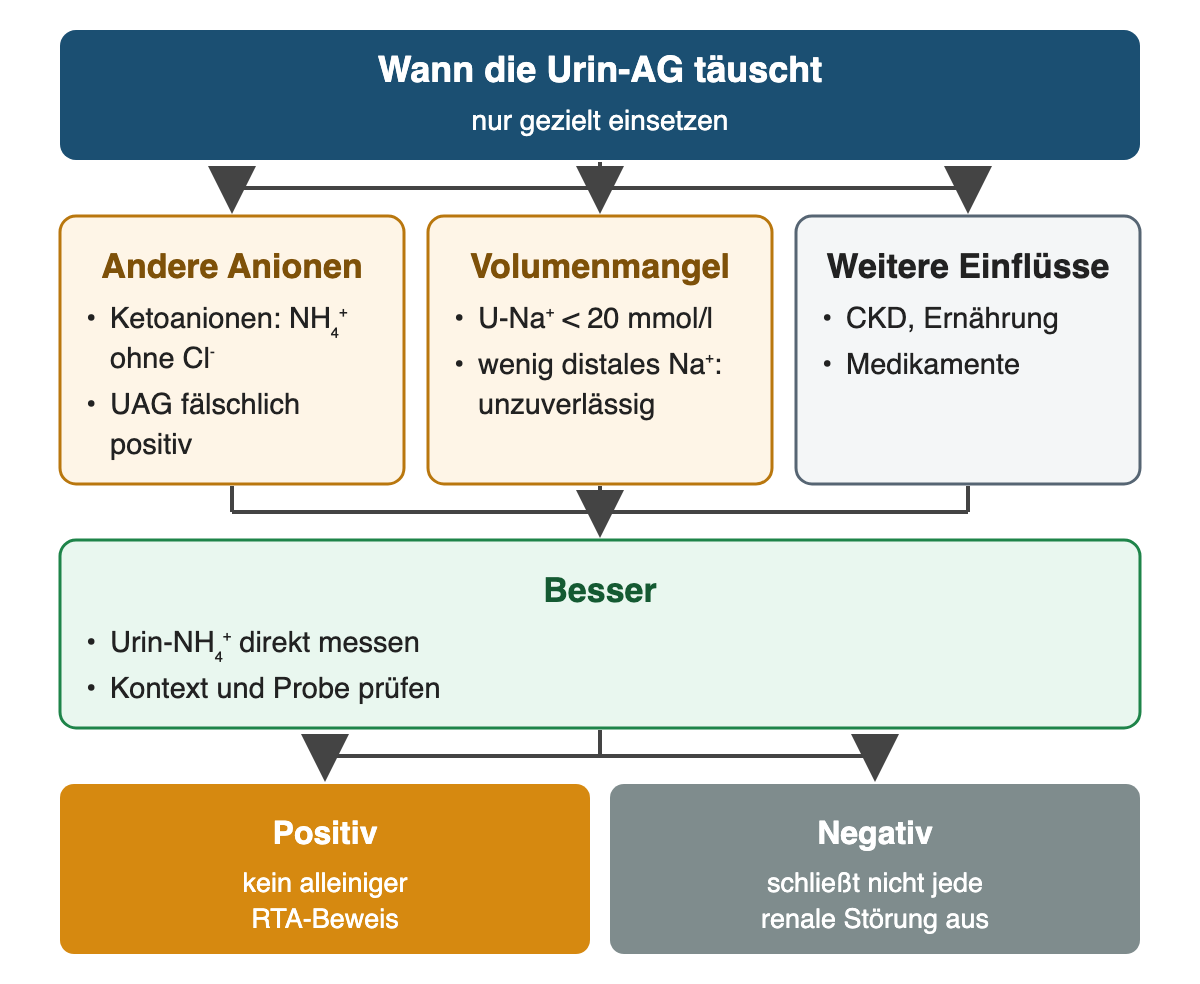 Von oben nach unten: Wann die Urin-AG täuscht: nur gezielt einsetzen; Andere Anionen: Ketoanionen: NH₄⁺ ohne Cl⁻, UAG fälschlich positiv; Volumenmangel: U-Na⁺ < 20 mmol/l, wenig distales Na⁺: unzuverlässig; Weitere Einflüsse: CKD, Ernährung, Medikamente; Besser: Urin-NH₄⁺ direkt messen, Kontext und Probe prüfen; Ergebnis: Positiv – kein alleiniger RTA-Beweis; Negativ – schließt nicht jede renale Störung aus.