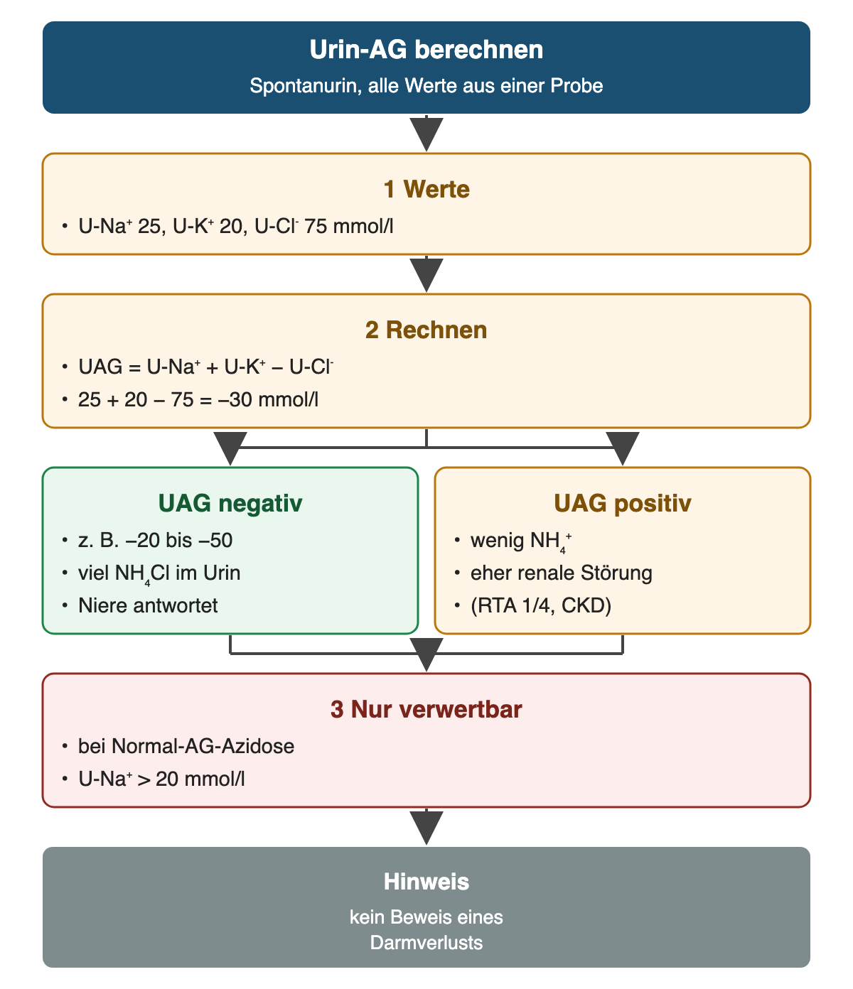 Von oben nach unten: Urin-AG berechnen: Spontanurin, alle Werte aus einer Probe; Werte: U-Na⁺ 25, U-K⁺ 20, U-Cl⁻ 75 mmol/l; Rechnen: UAG = U-Na⁺ + U-K⁺ − U-Cl⁻, 25 + 20 − 75 = −30 mmol/l; UAG negativ: z. B. −20 bis −50, viel NH₄Cl im Urin, Niere antwortet; UAG positiv: wenig NH₄⁺, eher renale Störung, (RTA 1/4, CKD); Nur verwertbar: bei Normal-AG-Azidose, U-Na⁺ > 20 mmol/l; Ergebnis: Hinweis – kein Beweis eines Darmverlusts.