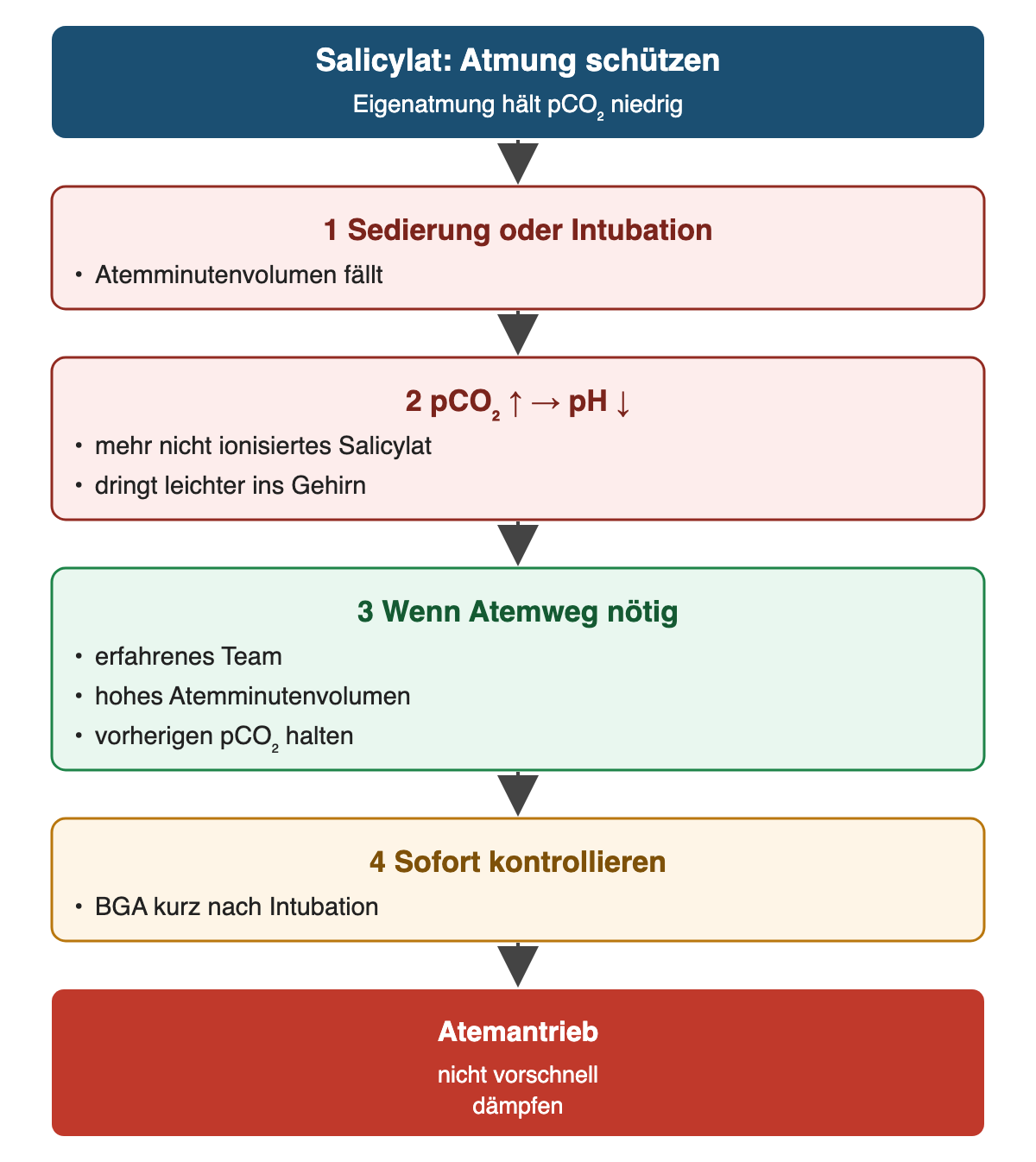 Von oben nach unten: Salicylat: Atmung schützen: Eigenatmung hält pCO₂ niedrig; Sedierung oder Intubation: Atemminutenvolumen fällt; pCO₂ ↑ → pH ↓: mehr nicht ionisiertes Salicylat, dringt leichter ins Gehirn; Wenn Atemweg nötig: erfahrenes Team, hohes Atemminutenvolumen, vorherigen pCO₂ halten; Sofort kontrollieren: BGA kurz nach Intubation; Ergebnis: Atemantrieb – nicht vorschnell dämpfen.