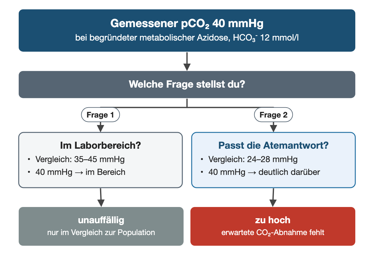 Von oben nach unten. Oben: Gemessener pCO₂ 40 mmHg (bei begründeter metabolischer Azidose, HCO₃⁻ 12 mmol/l). Welche Frage stellst du?. Nebeneinander: Frage 1 → Im Laborbereich?: Vergleich: 35–45 mmHg, 40 mmHg → im Bereich | Frage 2 → Passt die Atemantwort?: Vergleich: 24–28 mmHg, 40 mmHg → deutlich darüber. Ergebnis: unauffällig (nur im Vergleich zur Population) | zu hoch (erwartete CO₂-Abnahme fehlt).