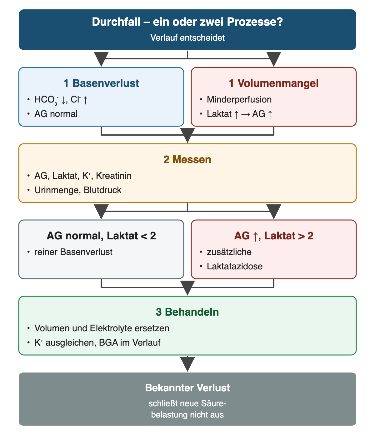 Von oben nach unten: Durchfall – ein oder zwei Prozesse?: Verlauf entscheidet; 1 Basenverlust: HCO₃⁻ ↓, Cl⁻ ↑, AG normal; 1 Volumenmangel: Minderperfusion, Laktat ↑ → AG ↑; Messen: AG, Laktat, K⁺, Kreatinin, Urinmenge, Blutdruck; AG normal, Laktat < 2: reiner Basenverlust; AG ↑, Laktat > 2: zusätzliche, Laktatazidose; Behandeln: Volumen und Elektrolyte ersetzen, K⁺ ausgleichen, BGA im Verlauf; Ergebnis: Bekannter Verlust – schließt neue Säurebelastung nicht aus.