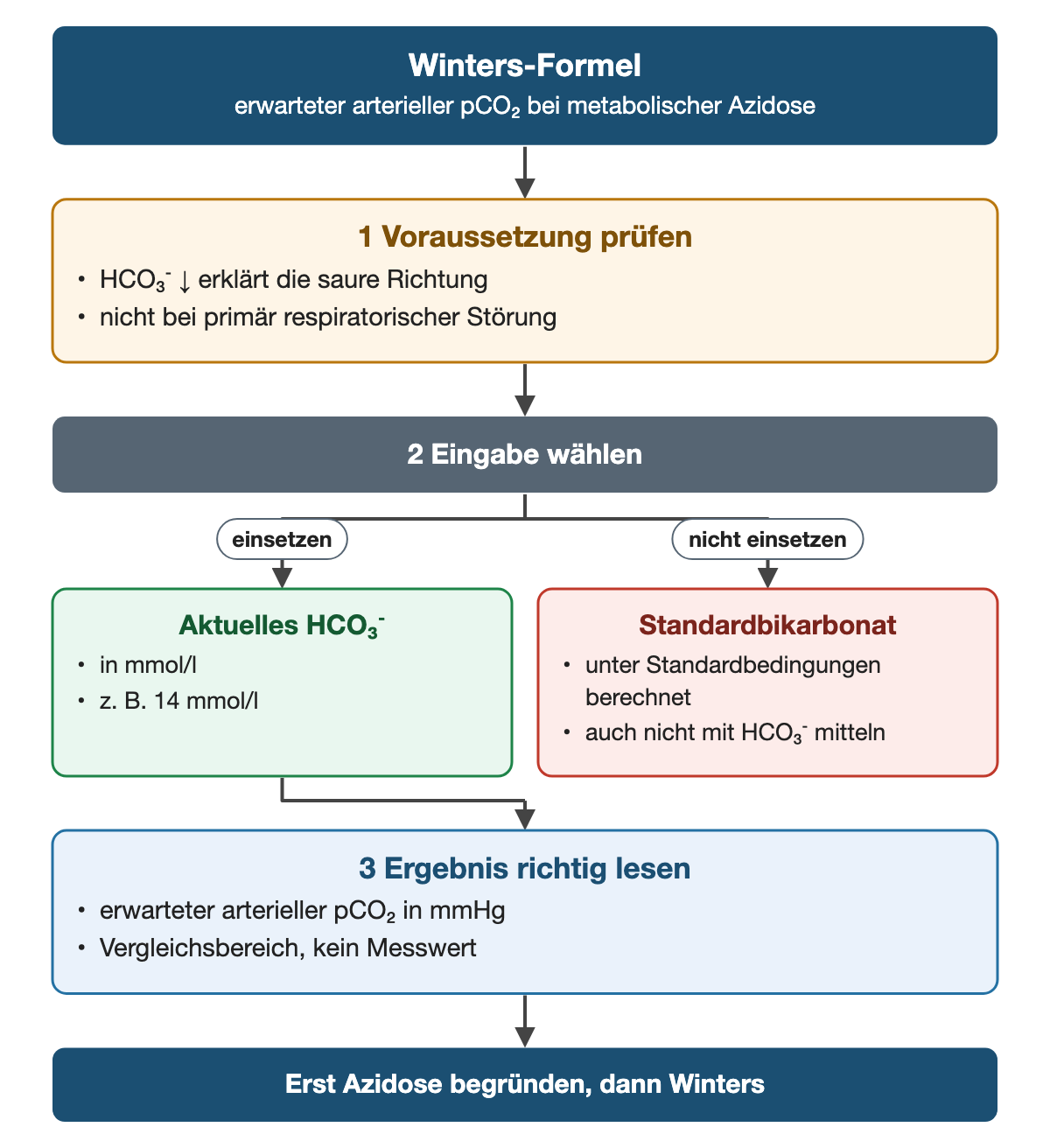 Von oben nach unten. Oben: Winters-Formel (erwarteter arterieller pCO₂ bei metabolischer Azidose). 1 Voraussetzung prüfen: HCO₃⁻ ↓ erklärt die saure Richtung, nicht bei primär respiratorischer Störung. 2 Eingabe wählen. Nebeneinander: einsetzen → Aktuelles HCO₃⁻: in mmol/l, z. B. 14 mmol/l | nicht einsetzen → Standardbikarbonat: unter Standardbedingungen berechnet, auch nicht mit HCO₃⁻ mitteln. 3 Ergebnis richtig lesen: erwarteter arterieller pCO₂ in mmHg, Vergleichsbereich, kein Messwert. Ergebnis: Erst Azidose begründen, dann Winters.